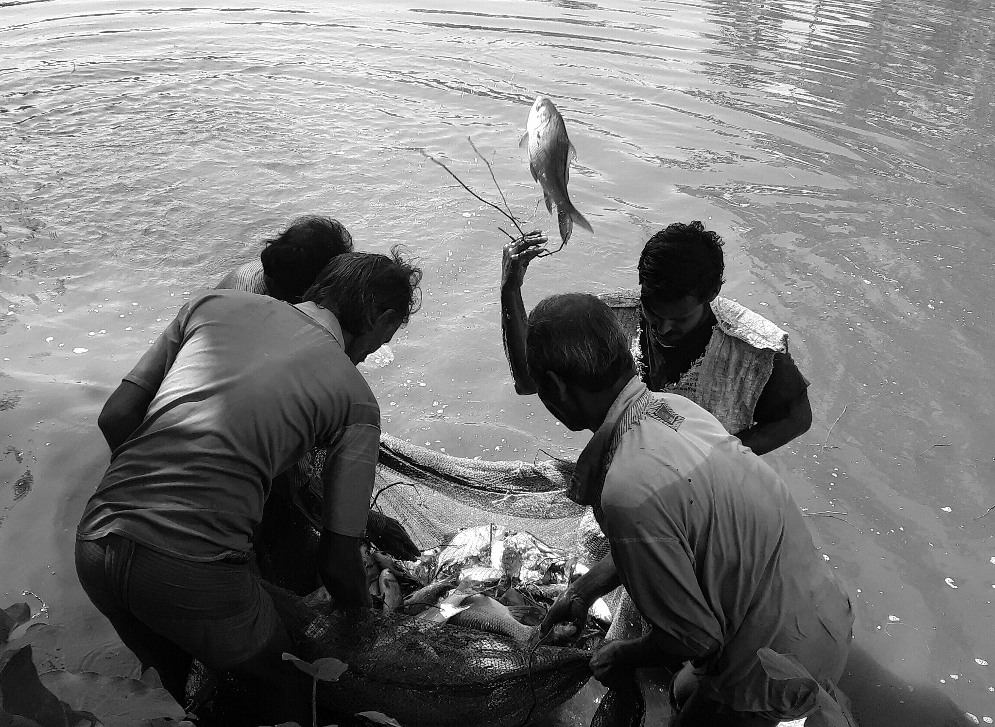 Samsung Galaxy On5 sample photo. Fishing photography