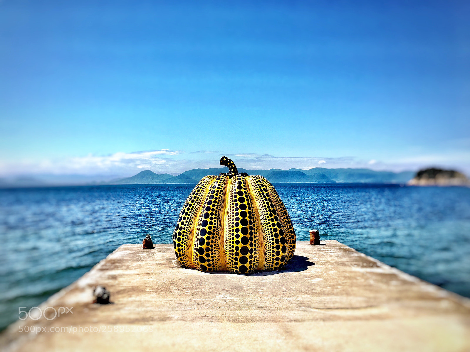 Apple iPhone 6s Plus sample photo. Yellow pumpkin  photography