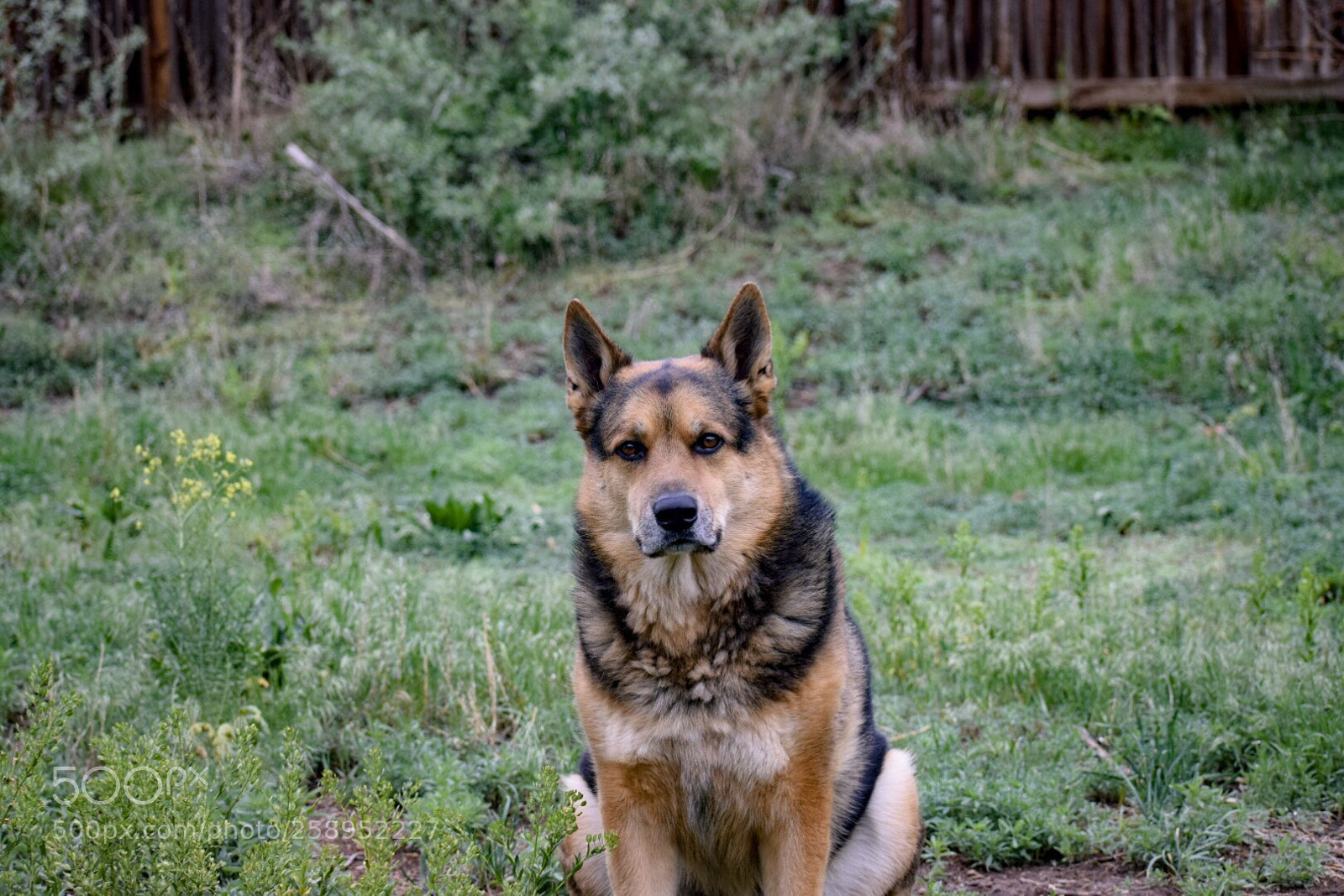 Nikon D5300 sample photo. Untitled photography