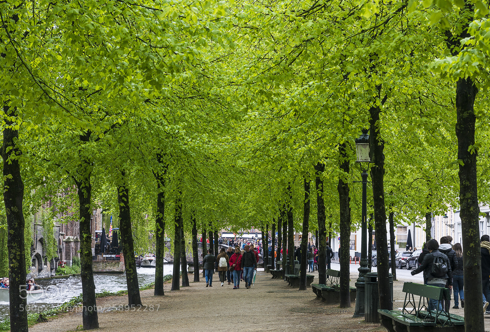Nikon D610 sample photo. In brugge photography