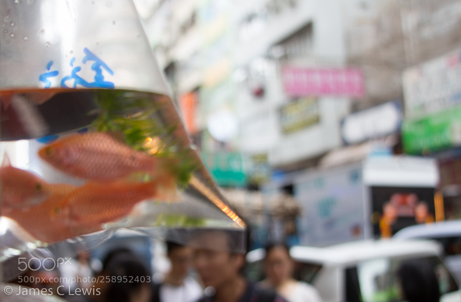 Canon EOS 700D (EOS Rebel T5i / EOS Kiss X7i) sample photo. Untitled photography