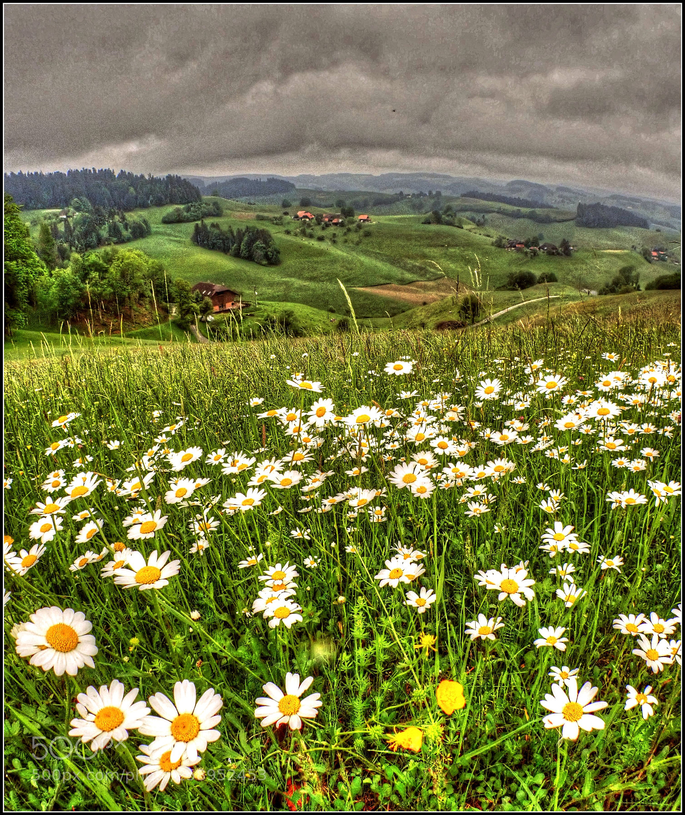Olympus TG-5 sample photo. Tief im emmental photography