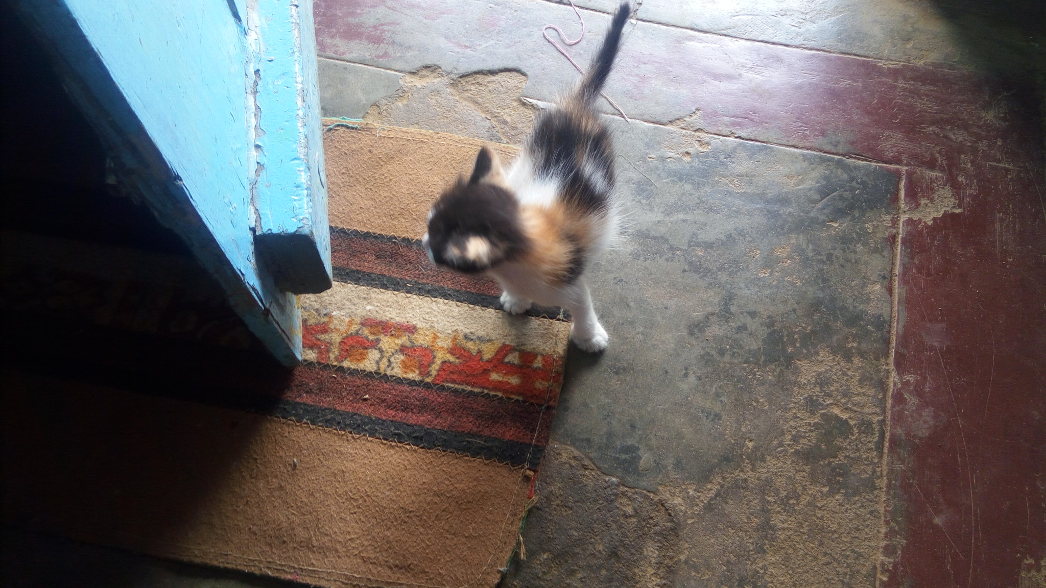 Lenovo VIBE X3 LITE sample photo