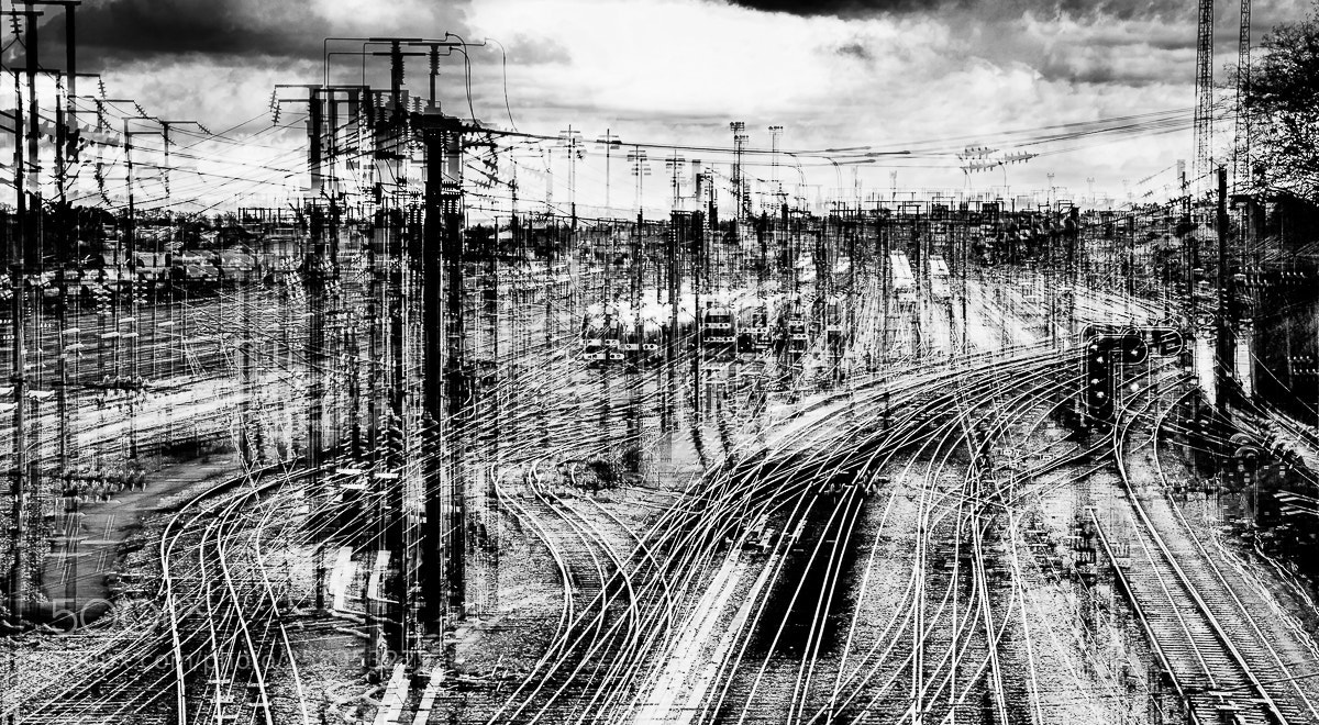 Nikon D7100 sample photo. Choose your own path photography