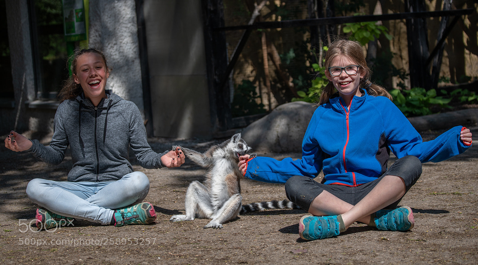Nikon D850 sample photo. Meditation photography
