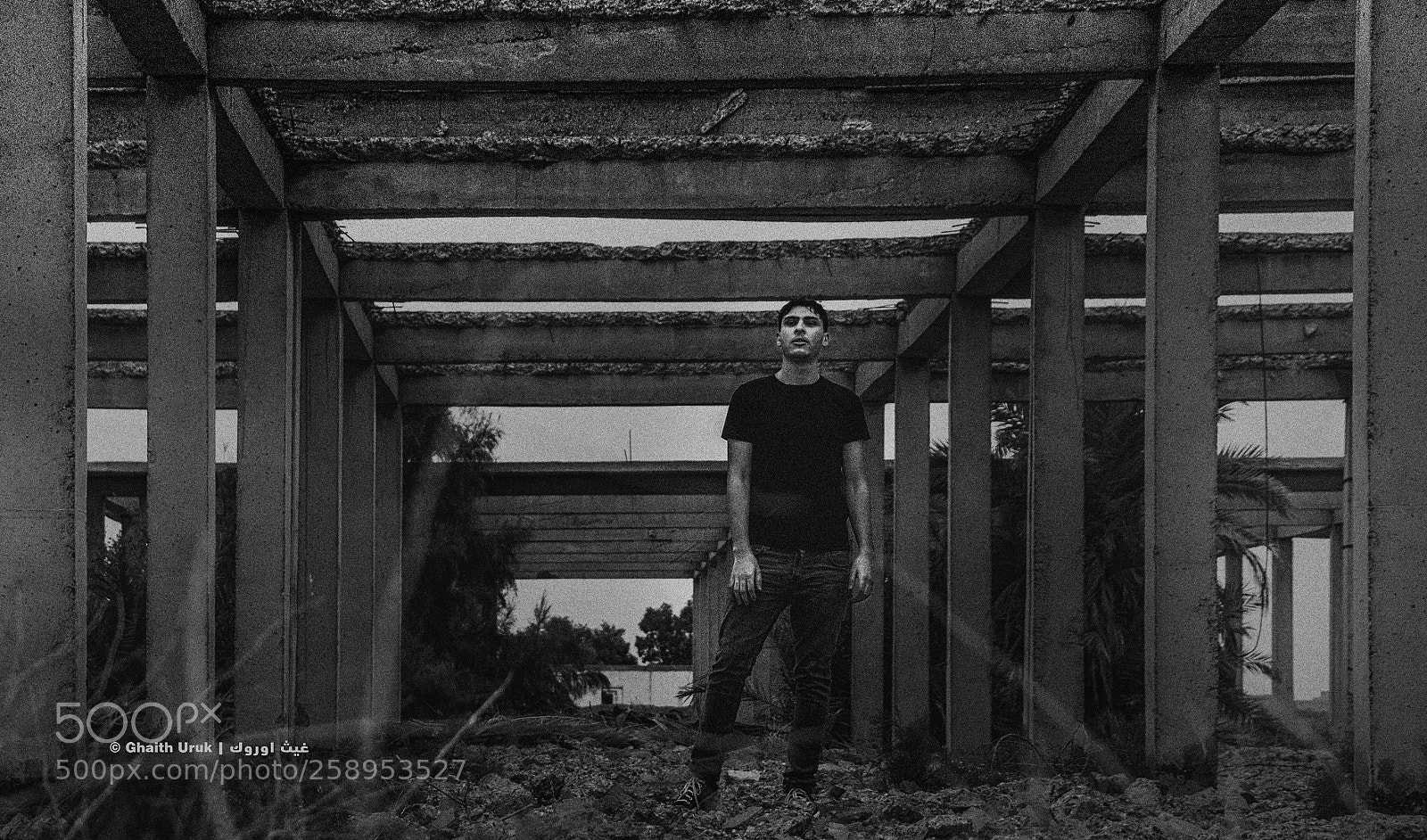 Canon EOS 80D sample photo. Untitled photography
