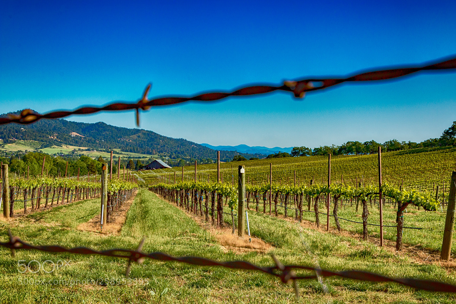 Canon EOS 70D sample photo. Hdr photography