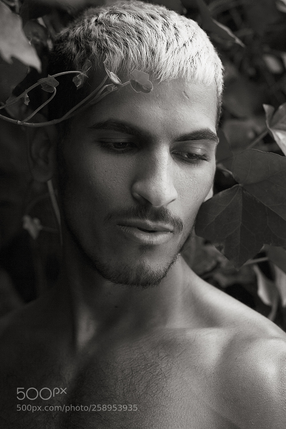Canon EOS 5D sample photo. Yasir photography