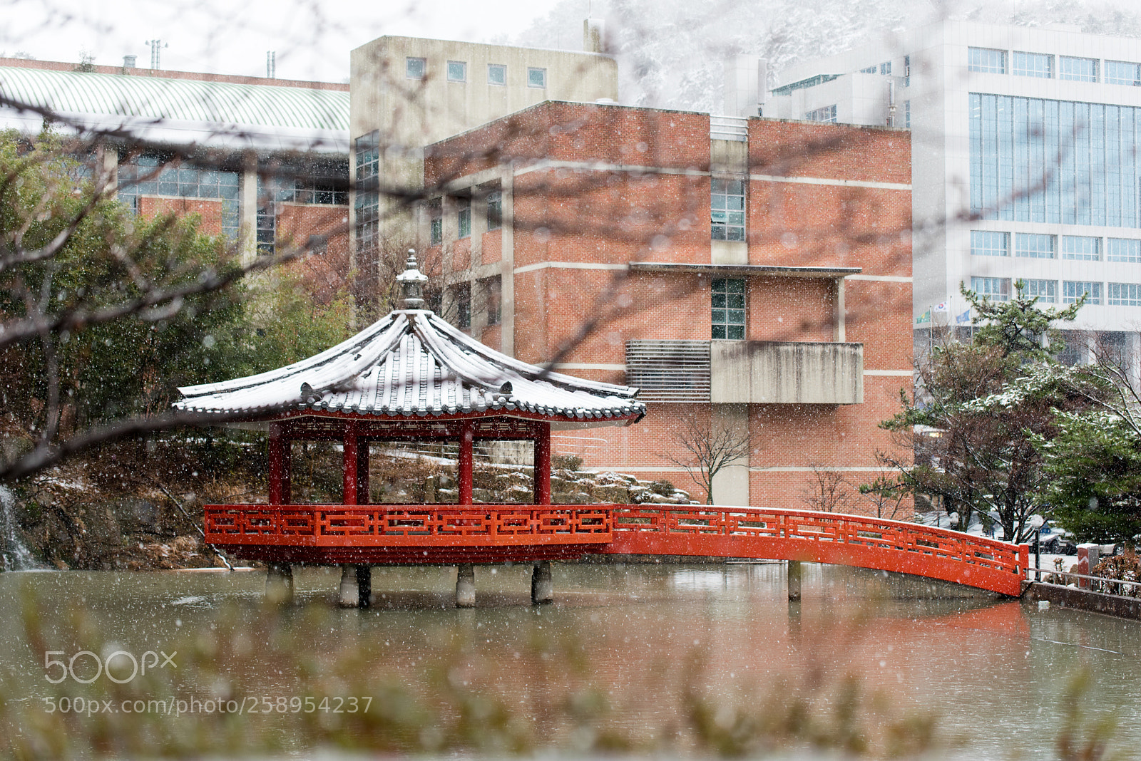 Nikon D750 sample photo. Untitled photography