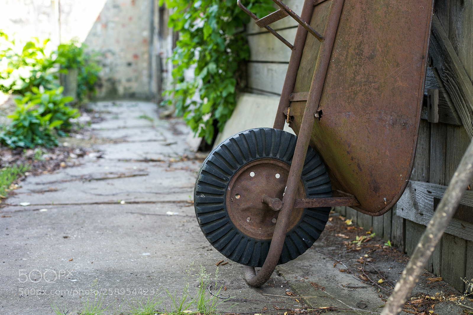 Canon EOS 6D sample photo. Barrow photography