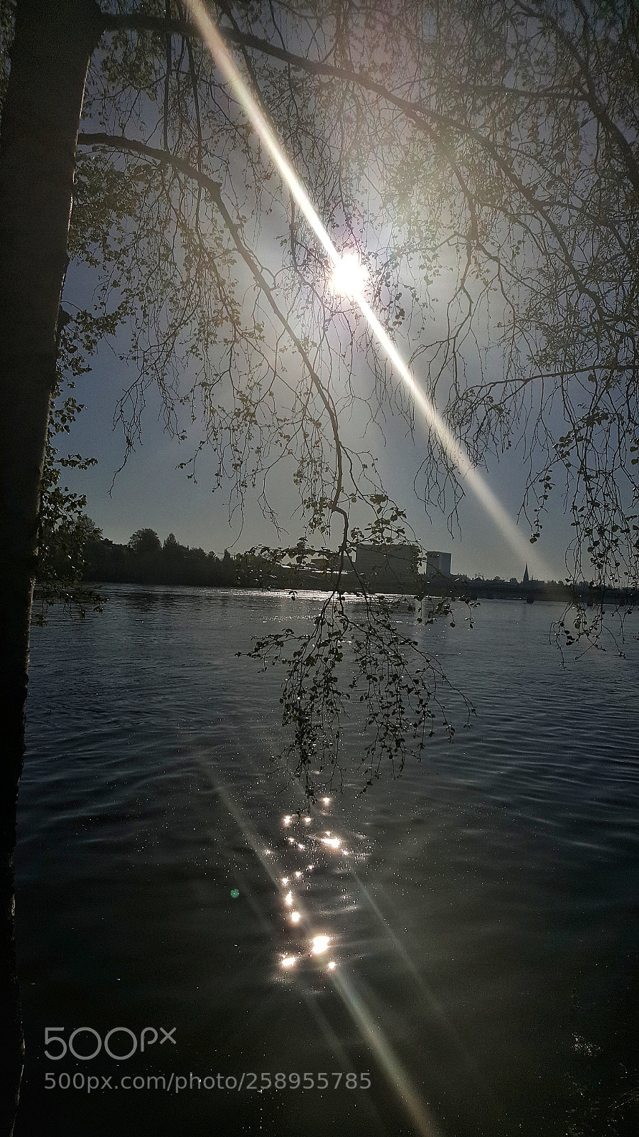 Samsung Galaxy S6 sample photo. Sunrays photography