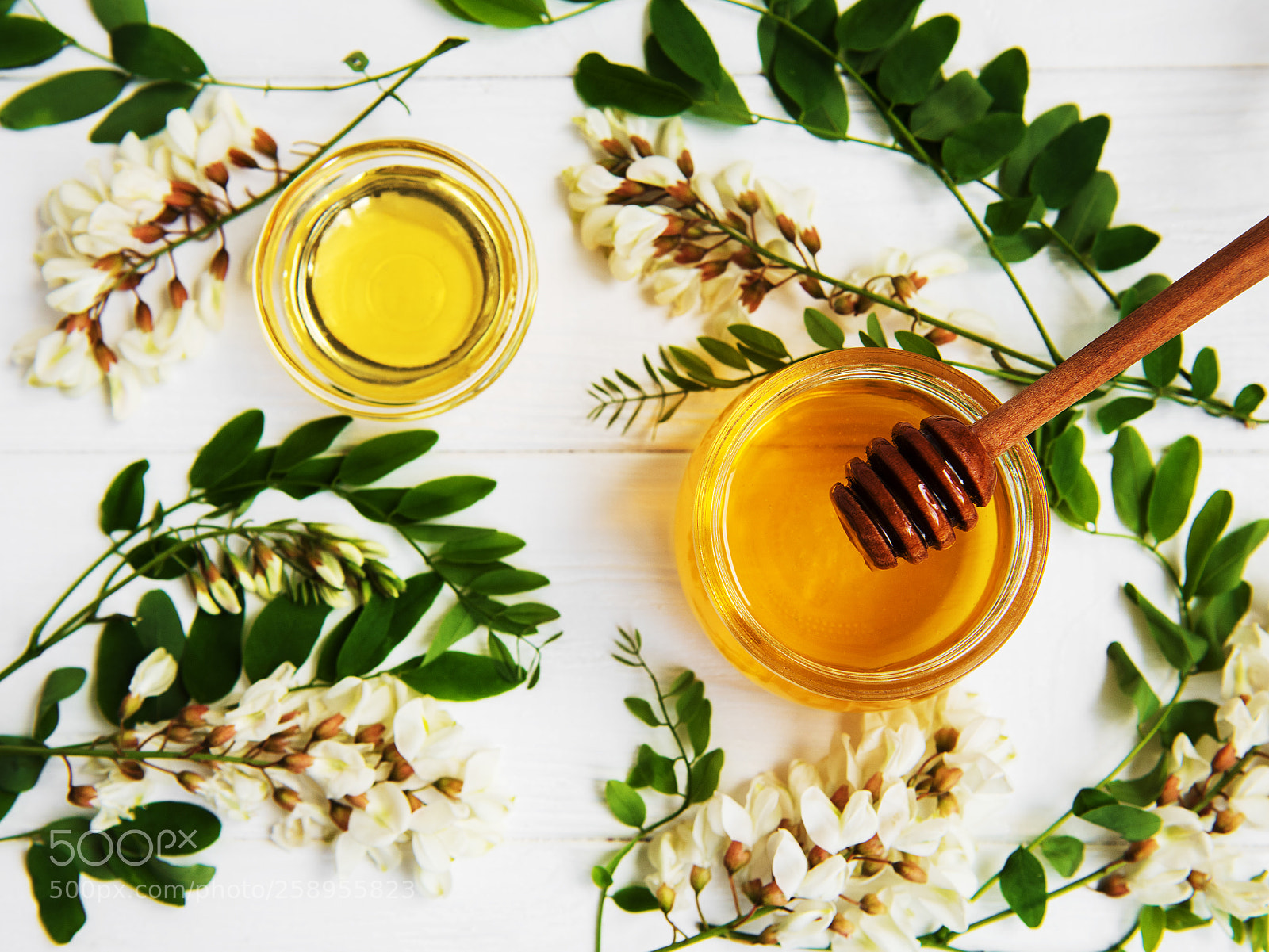 Nikon D750 sample photo. Honey with acacia blossoms photography