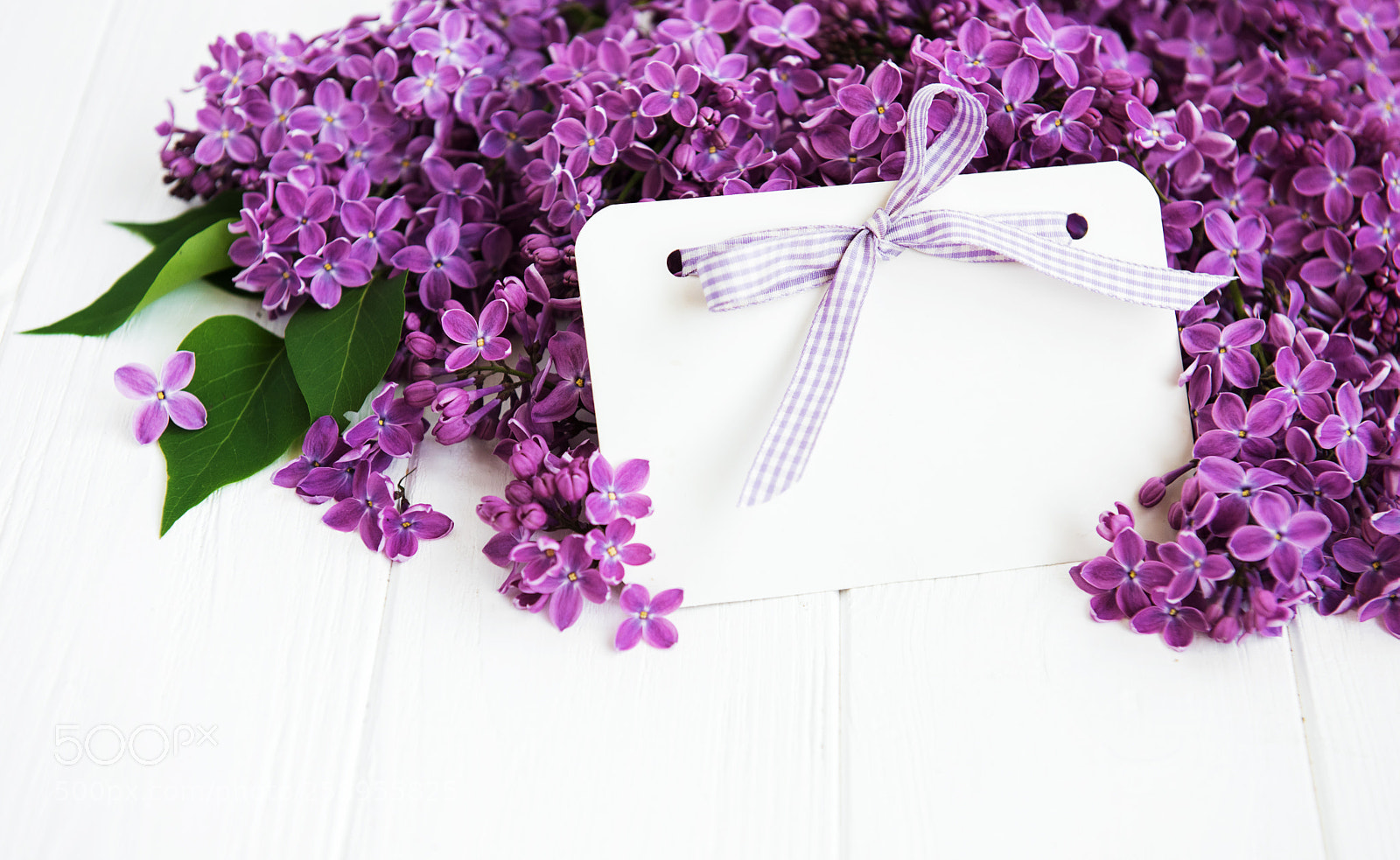 Nikon D750 sample photo. Lilac flowers with greeting photography