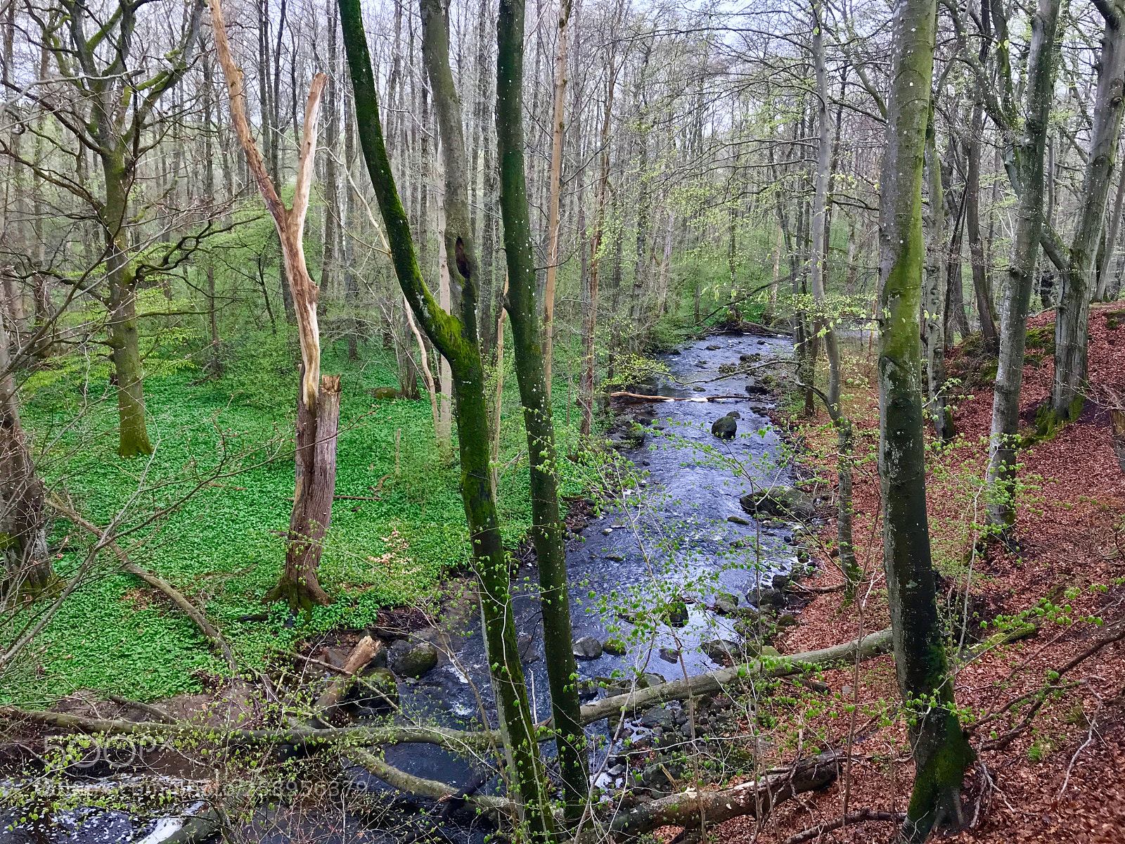 Apple iPhone 7 Plus sample photo. Nature reserve of rovarekulan photography