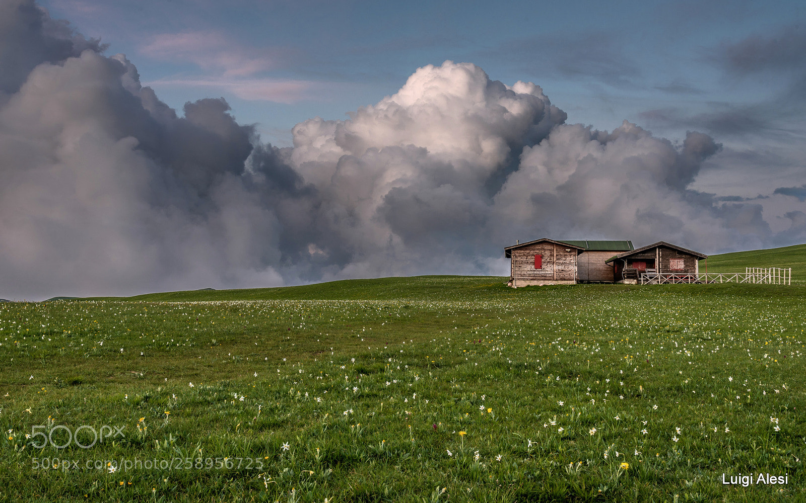 Nikon D750 sample photo. Sibillini national park photography
