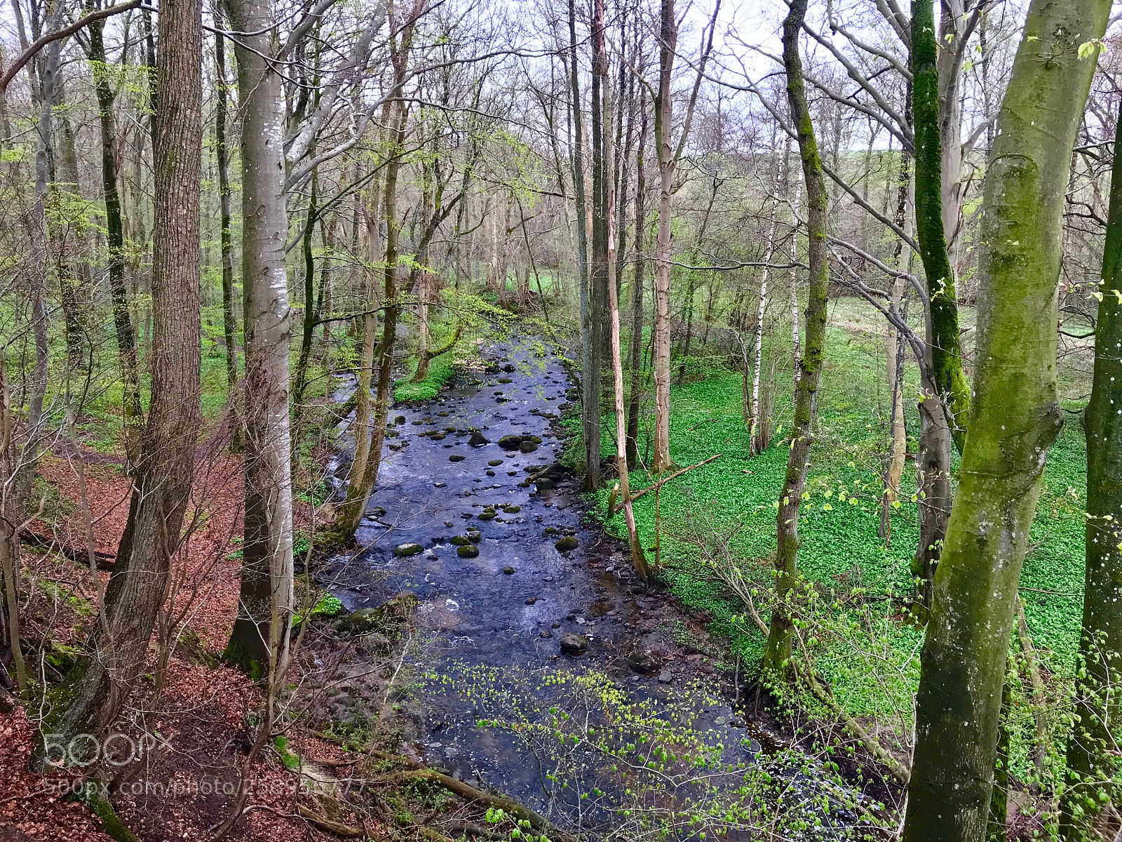 Apple iPhone 7 Plus sample photo. Nature reserve of rovarekulan photography