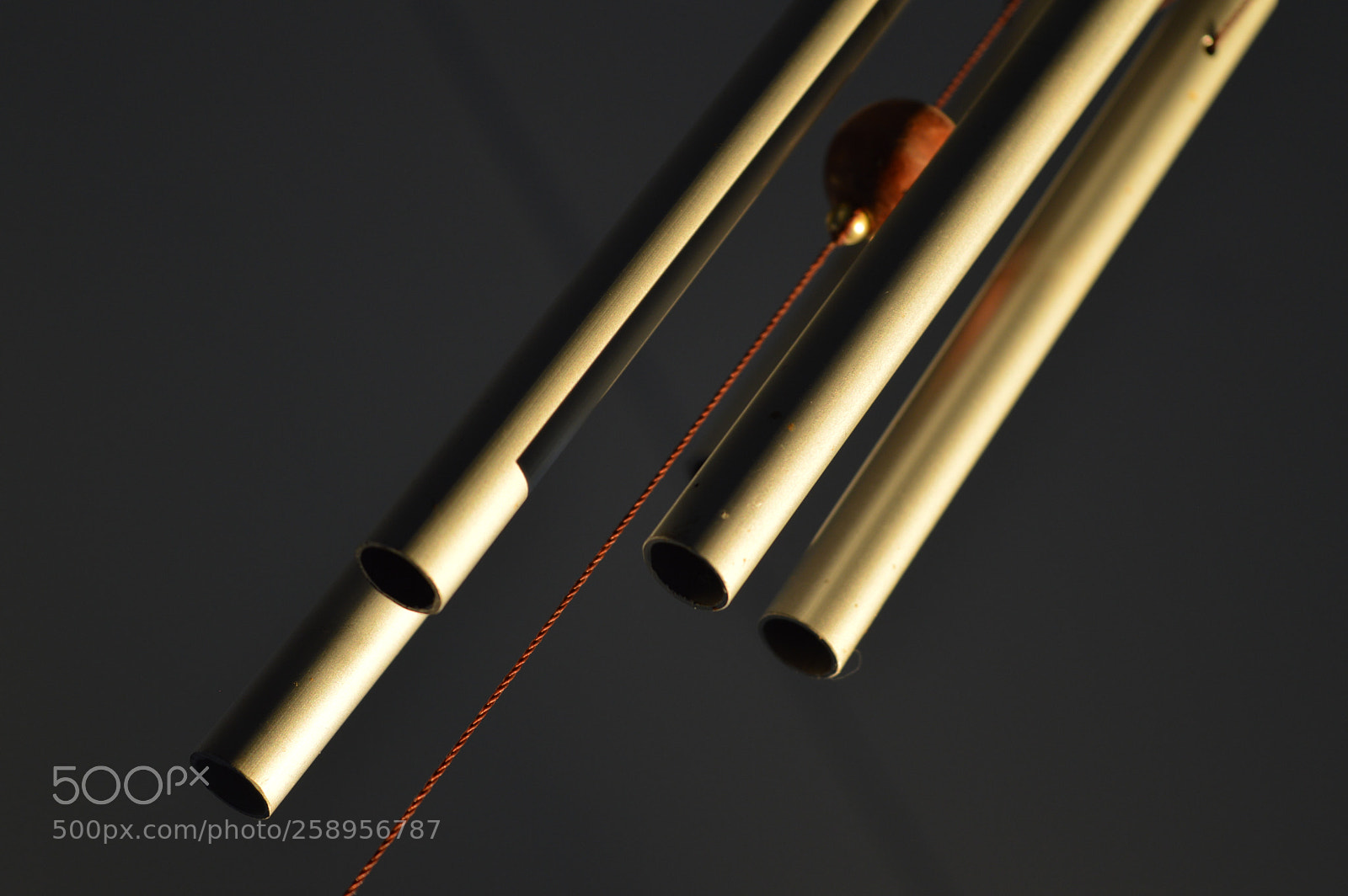 Nikon D3200 sample photo. Sunlight on a wind photography