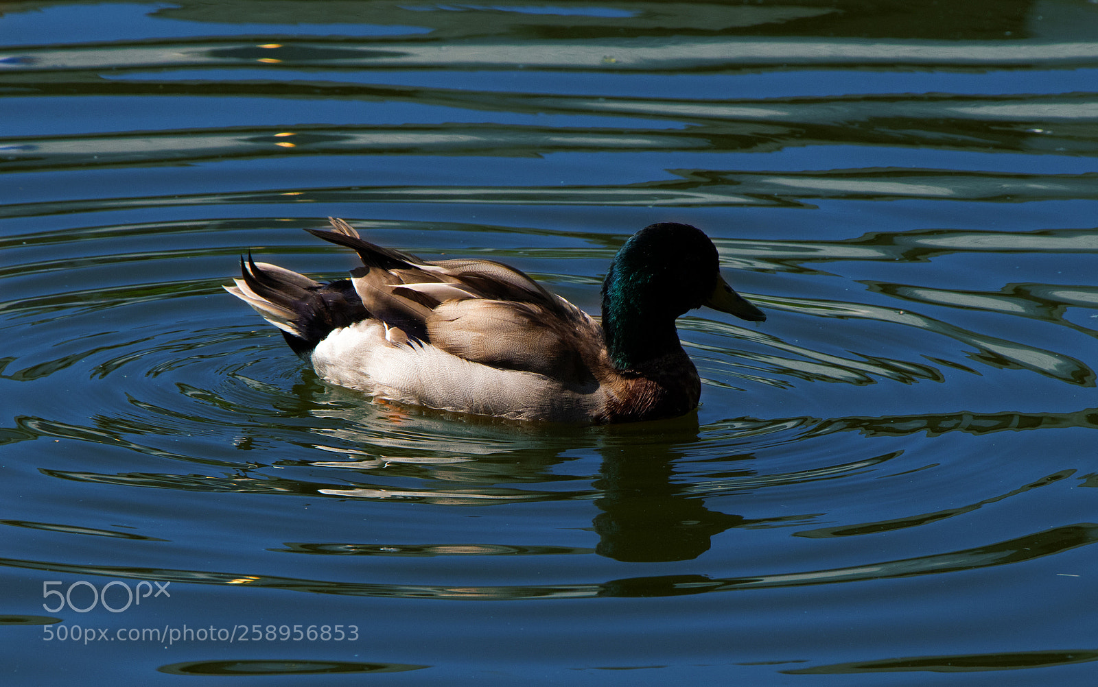 Canon EOS 77D (EOS 9000D / EOS 770D) sample photo. Untitled photography