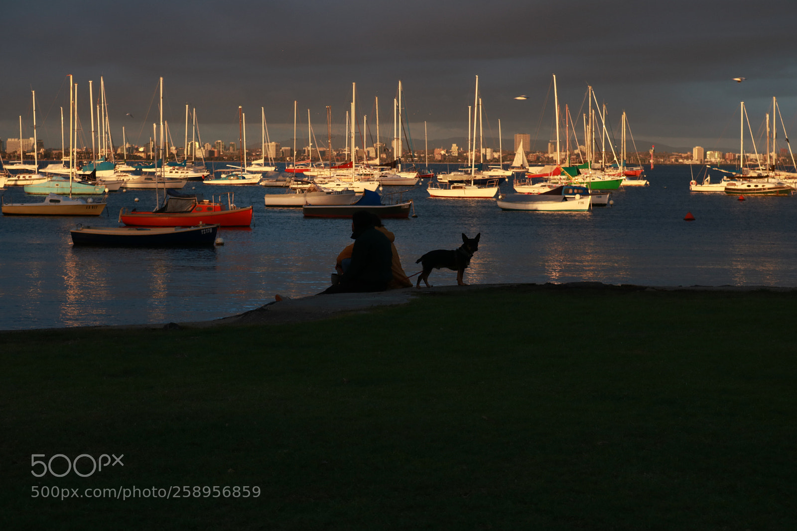 Canon EOS 760D (EOS Rebel T6s / EOS 8000D) sample photo. Silhouettes at williamstown photography