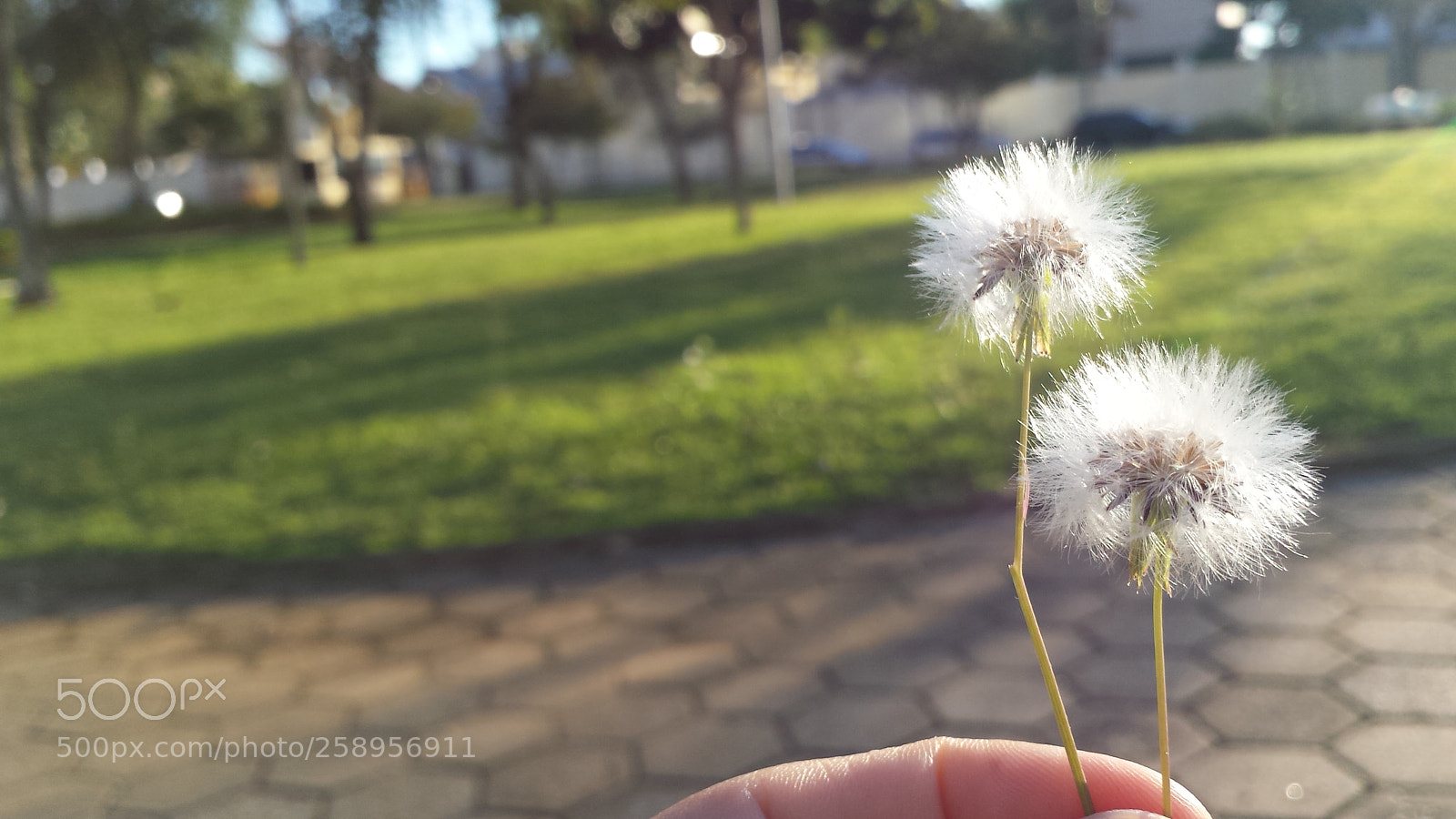 Samsung Galaxy S4 sample photo. Untitled photography