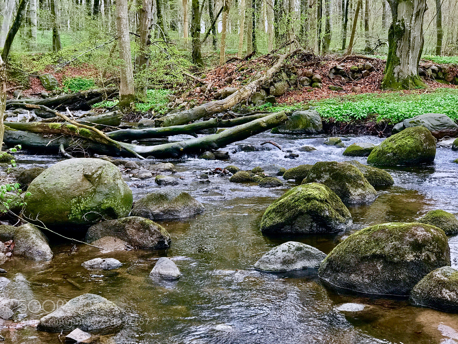 Apple iPhone 7 Plus sample photo. Nature reserve of rovarekulan photography