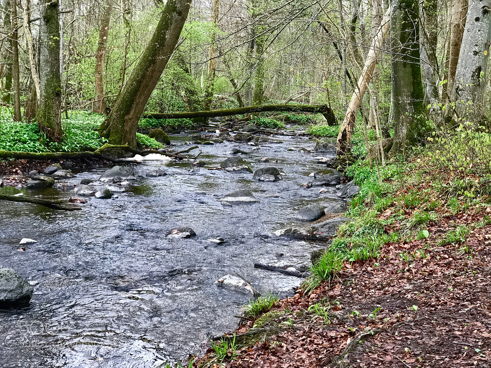 Apple iPhone 7 Plus sample photo. Nature reserve of rovarekulan photography