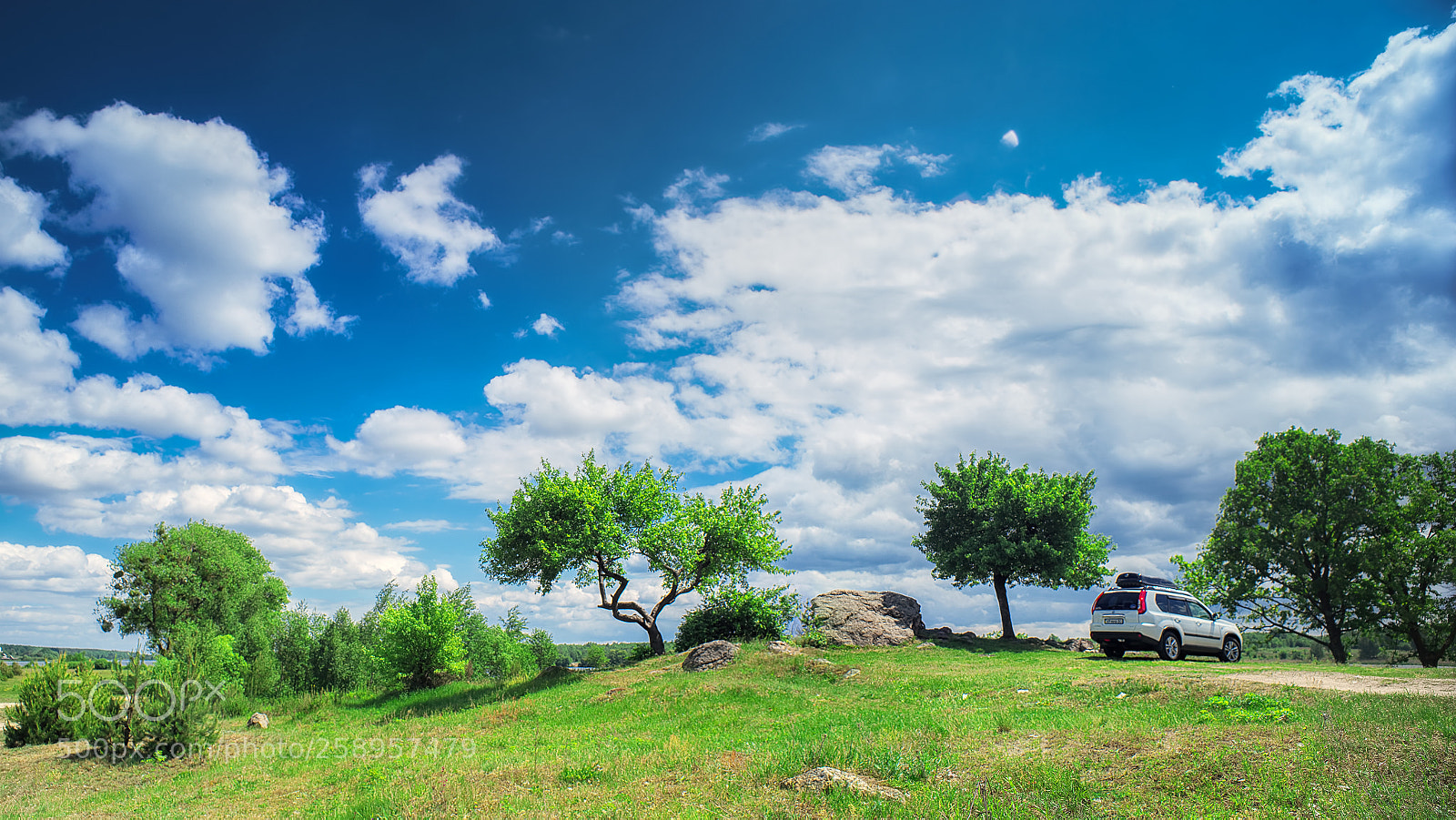 Nikon D800E sample photo. Sunny day photography