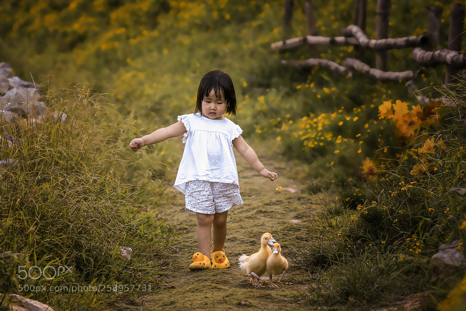 Canon EOS-1D X sample photo. Si si photography