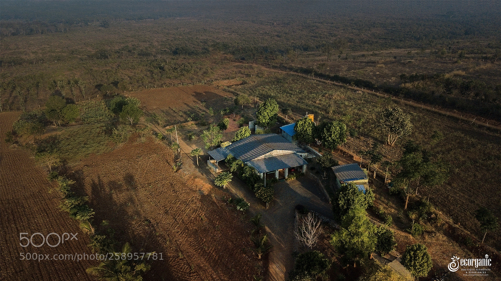DJI FC220 sample photo. Resorts in bandipur with photography