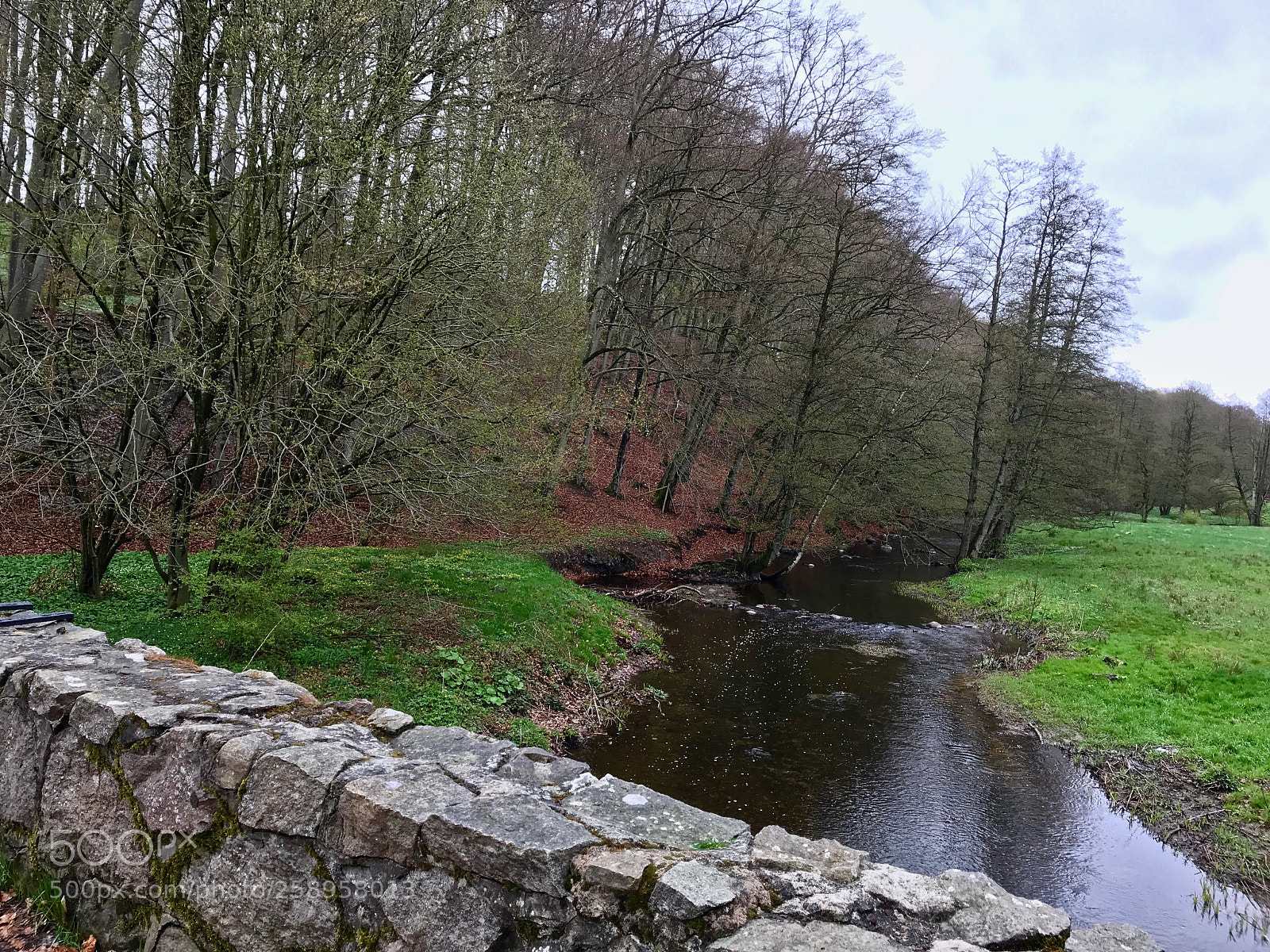 Apple iPhone 7 Plus sample photo. Nature reserve of rovarekulan photography