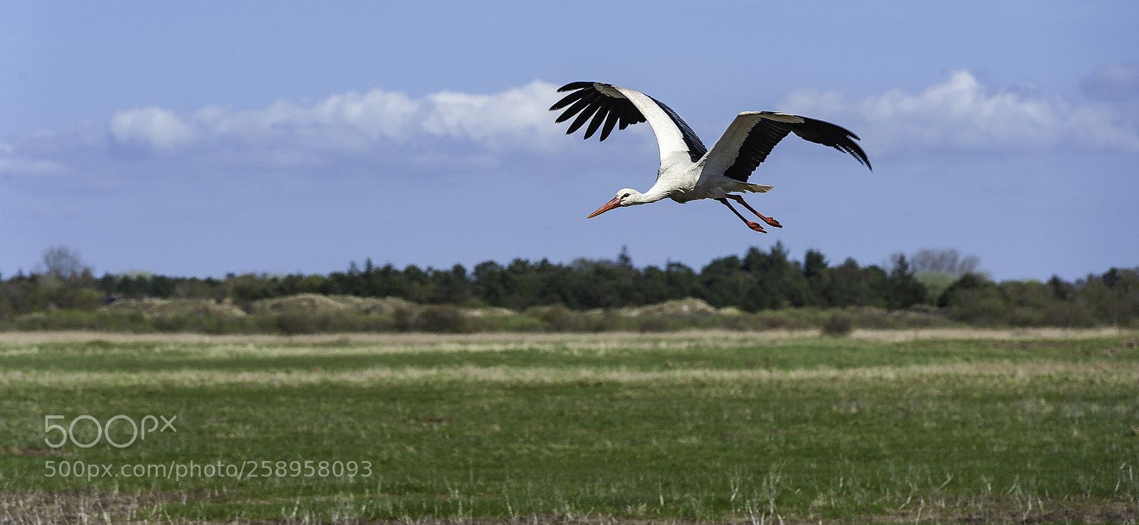 Nikon D700 sample photo. Flight across the salt photography