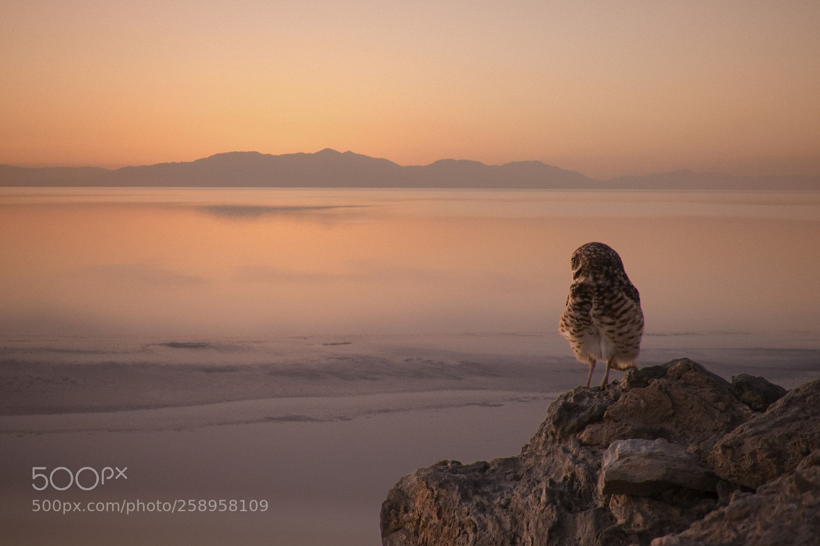 Nikon D500 sample photo. The sunset with you photography