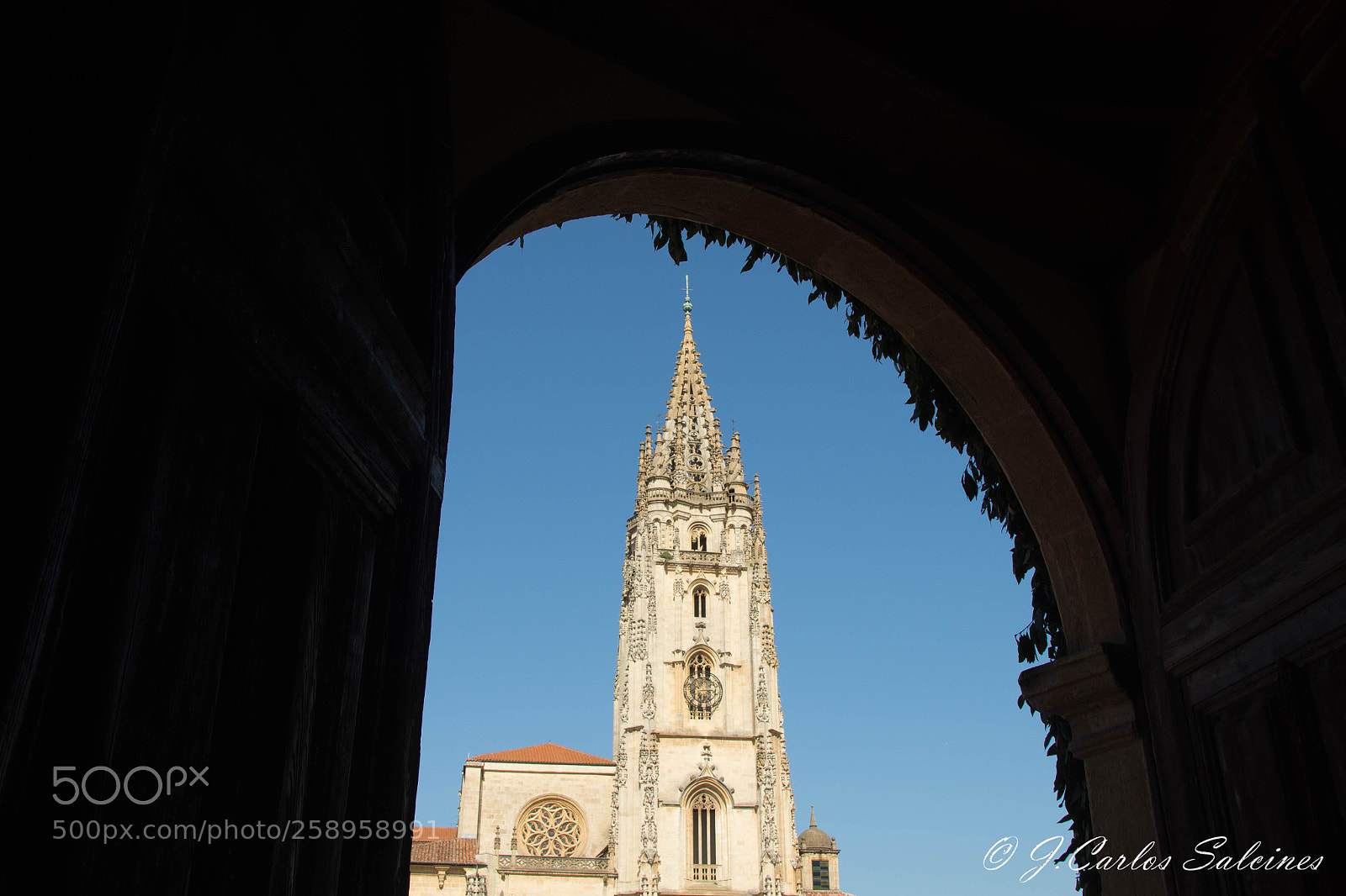 Nikon D7200 sample photo. Untitled photography
