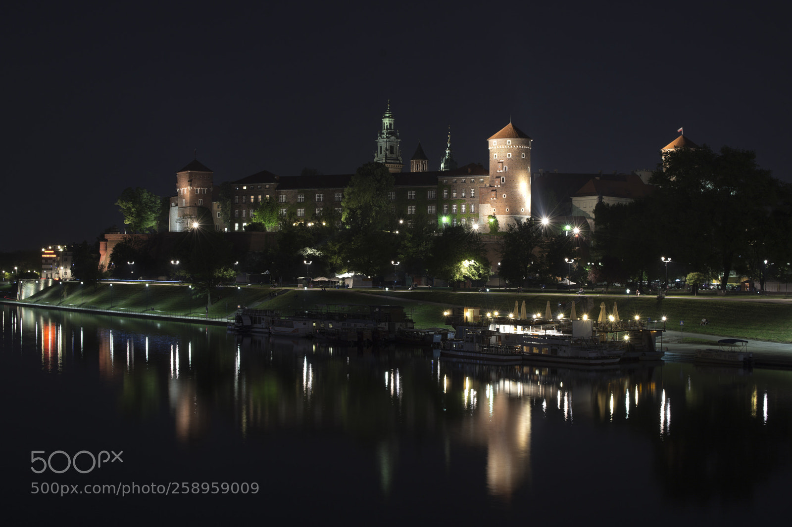 Nikon D7200 sample photo. Wawel photography