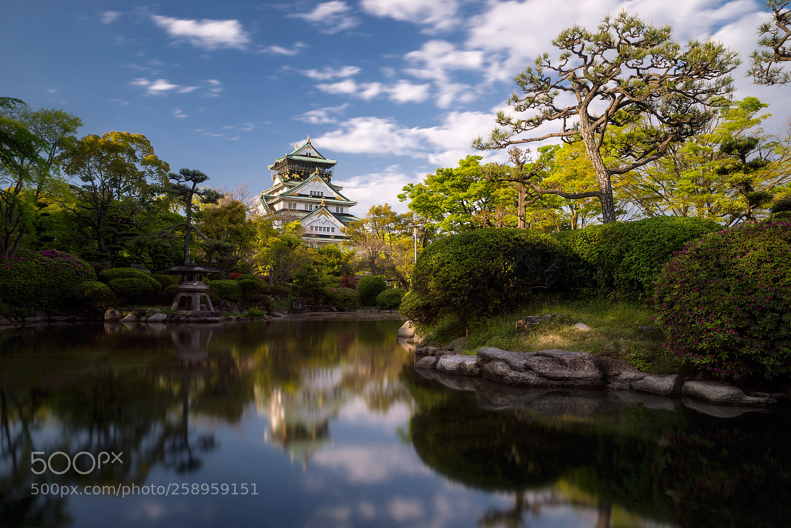 Nikon D610 sample photo. Osaka castle evening photography