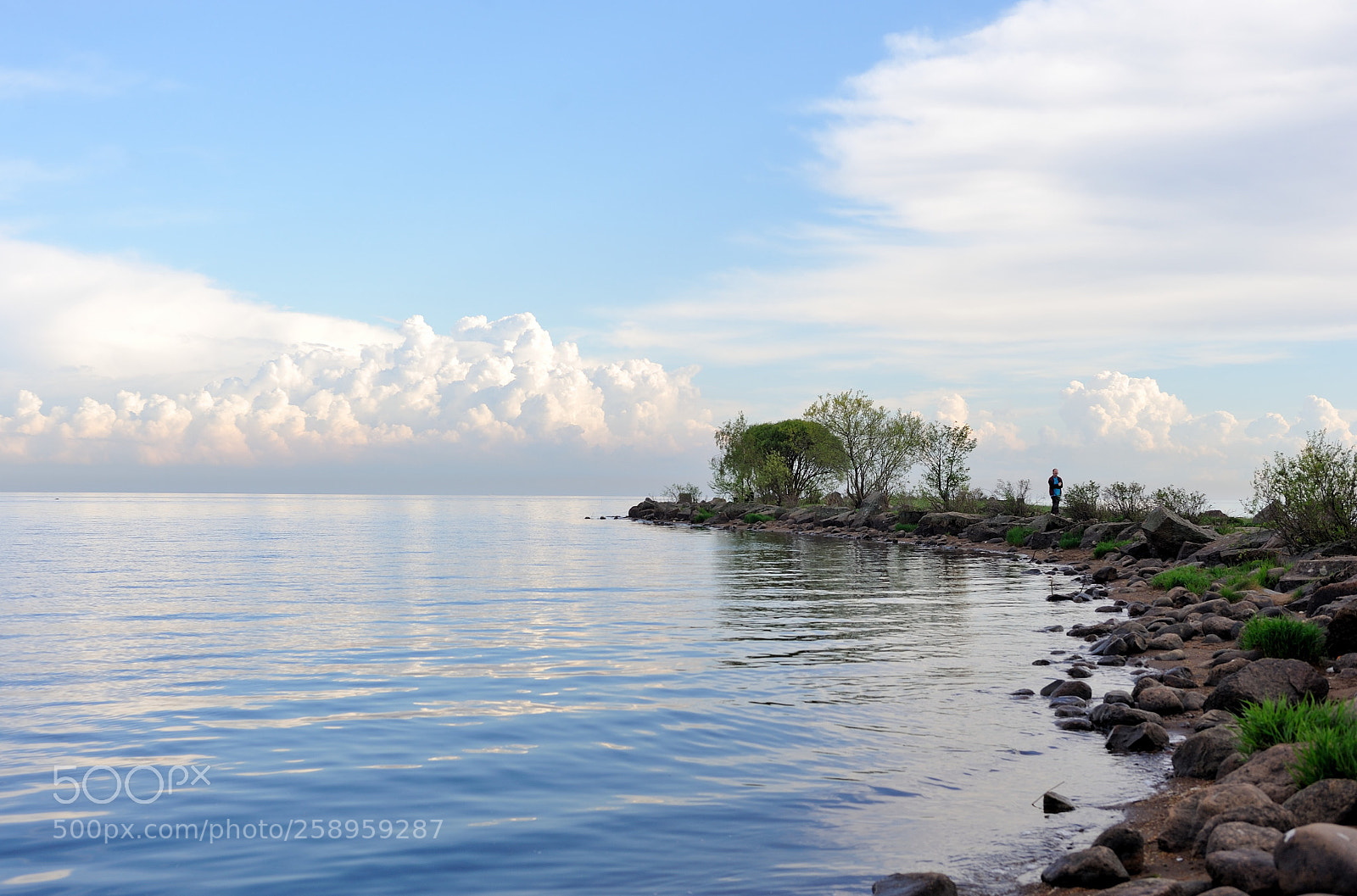 Nikon D700 sample photo. на Финском заливе... #4 photography