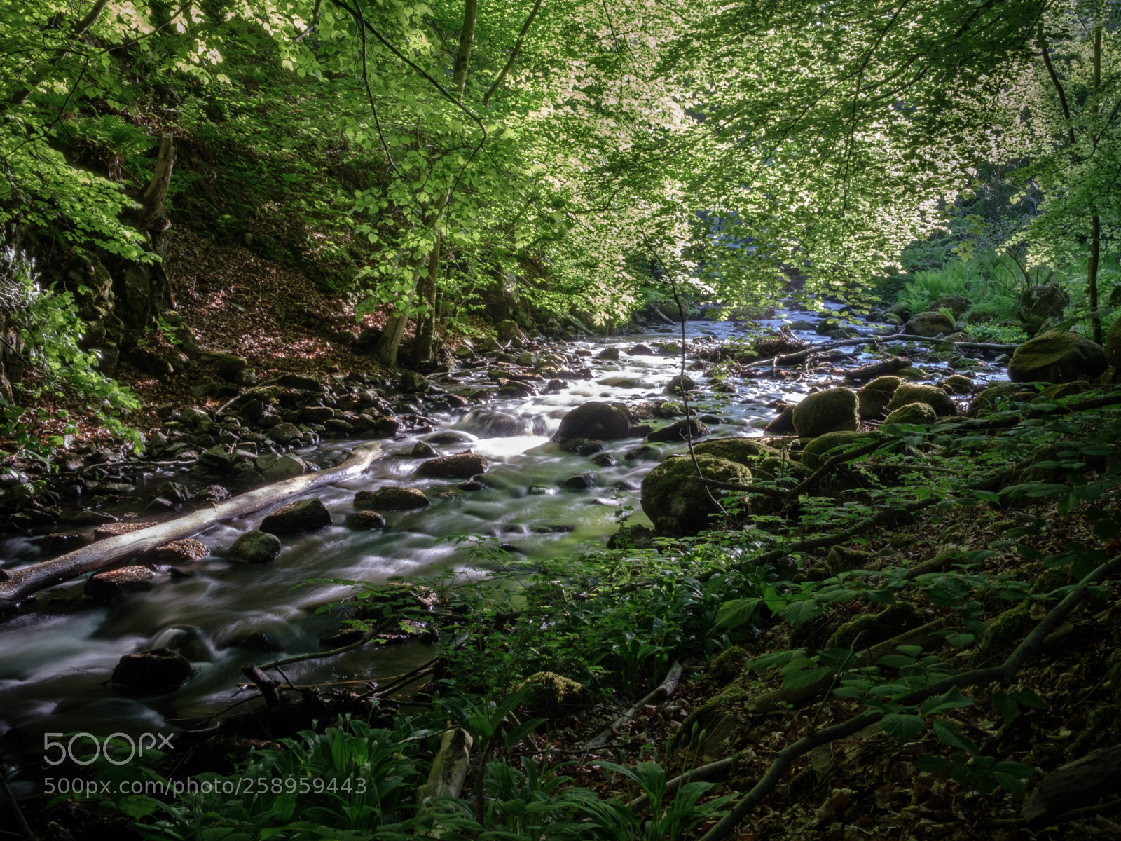 Fujifilm X-T20 sample photo. Forrest stream photography