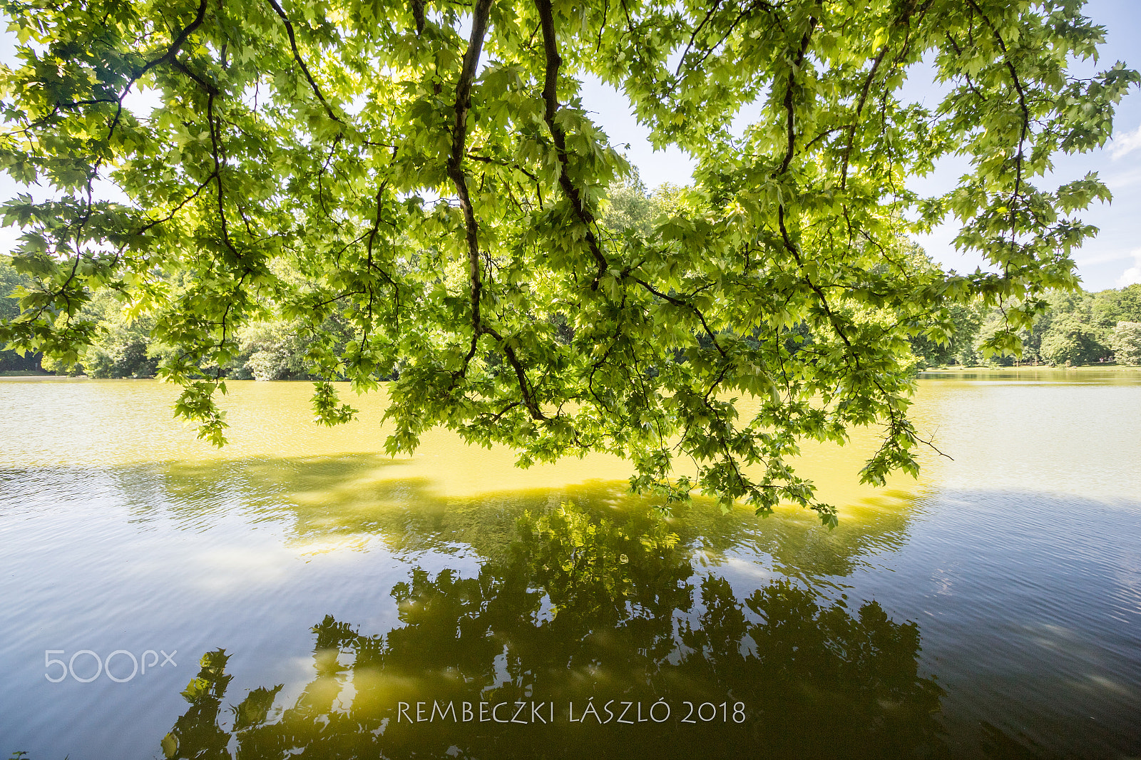 Canon EOS M10 sample photo. Green flames photography