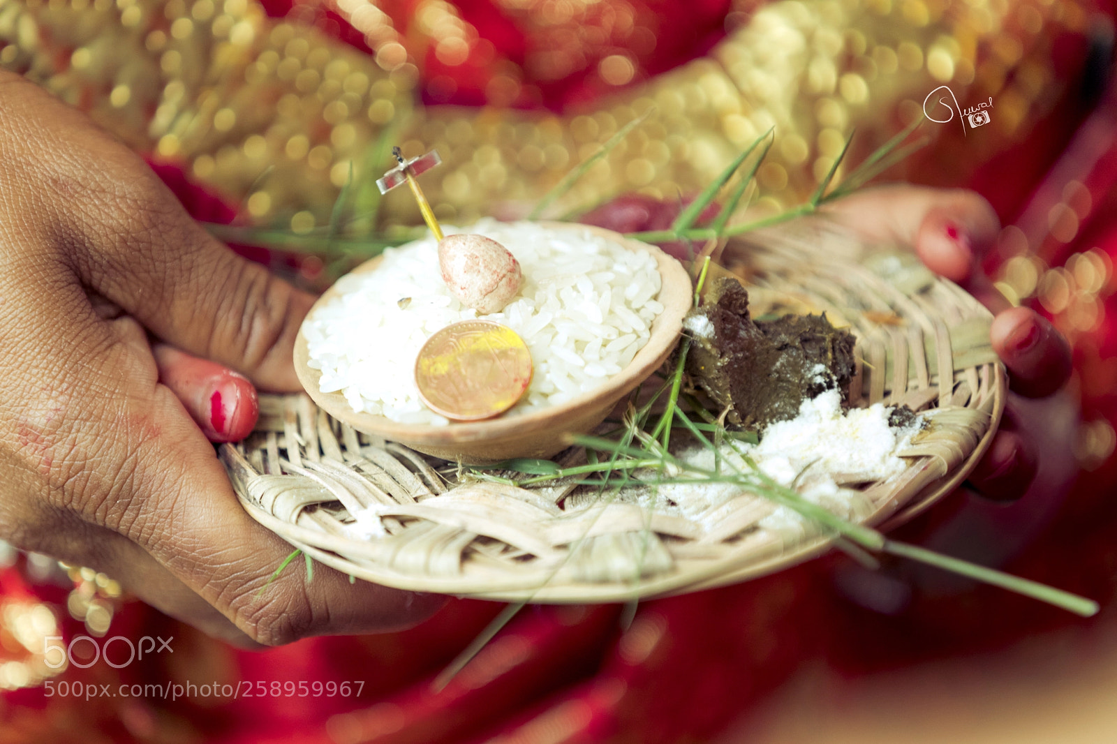 Canon EOS 5D Mark IV sample photo. Untitled photography