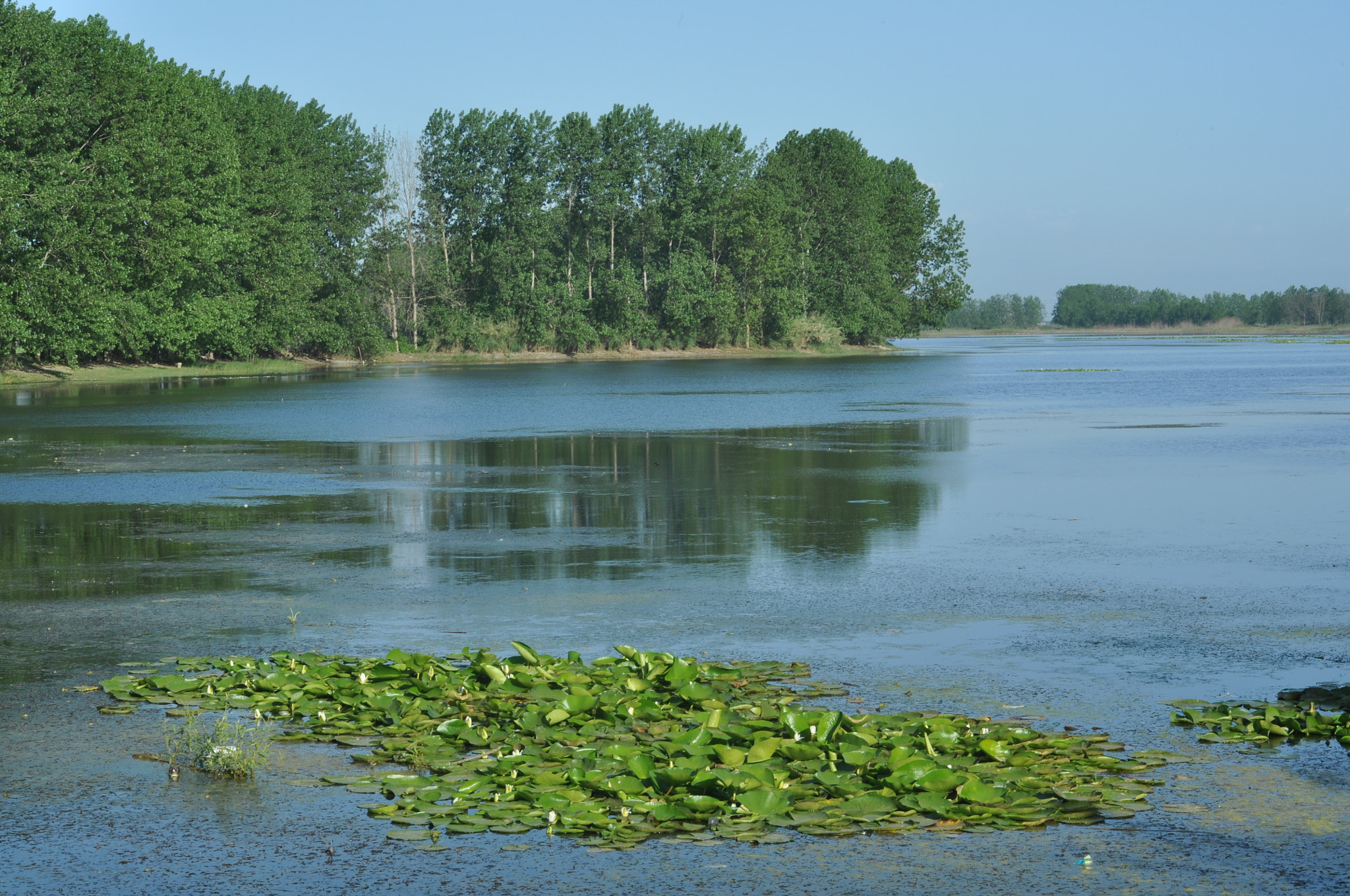 Nikon D90 sample photo. Pond photography