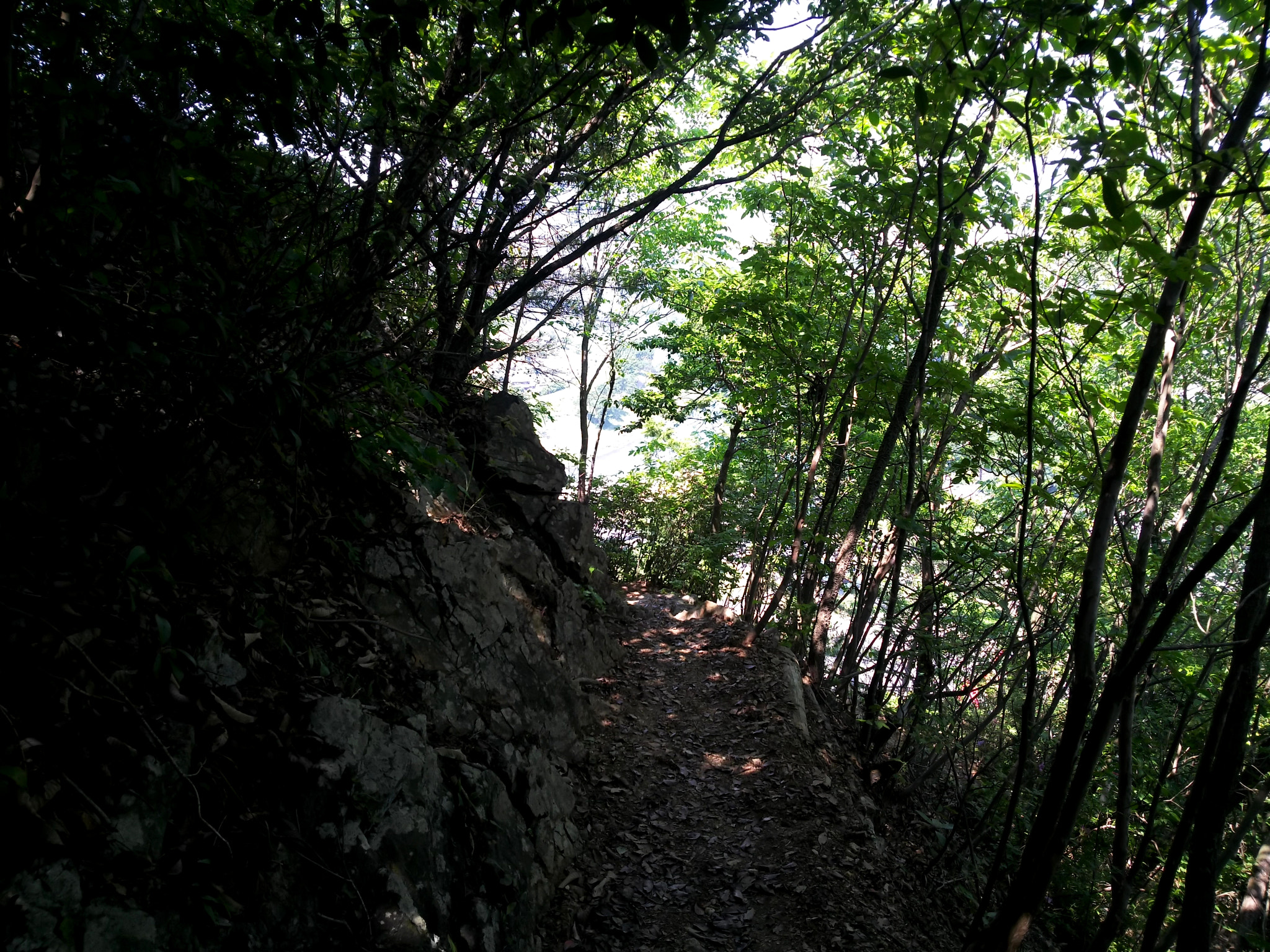 Nikon KeyMission 80 sample photo. A trail photography