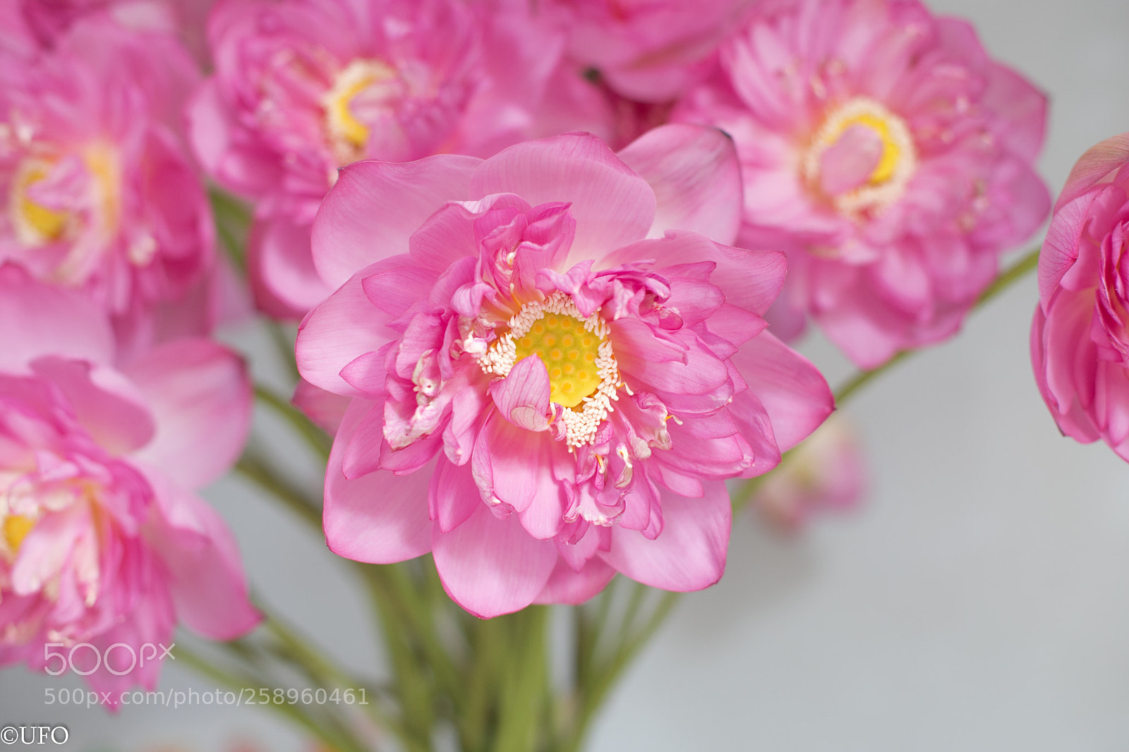 Canon EOS 6D sample photo. Moment of life photography