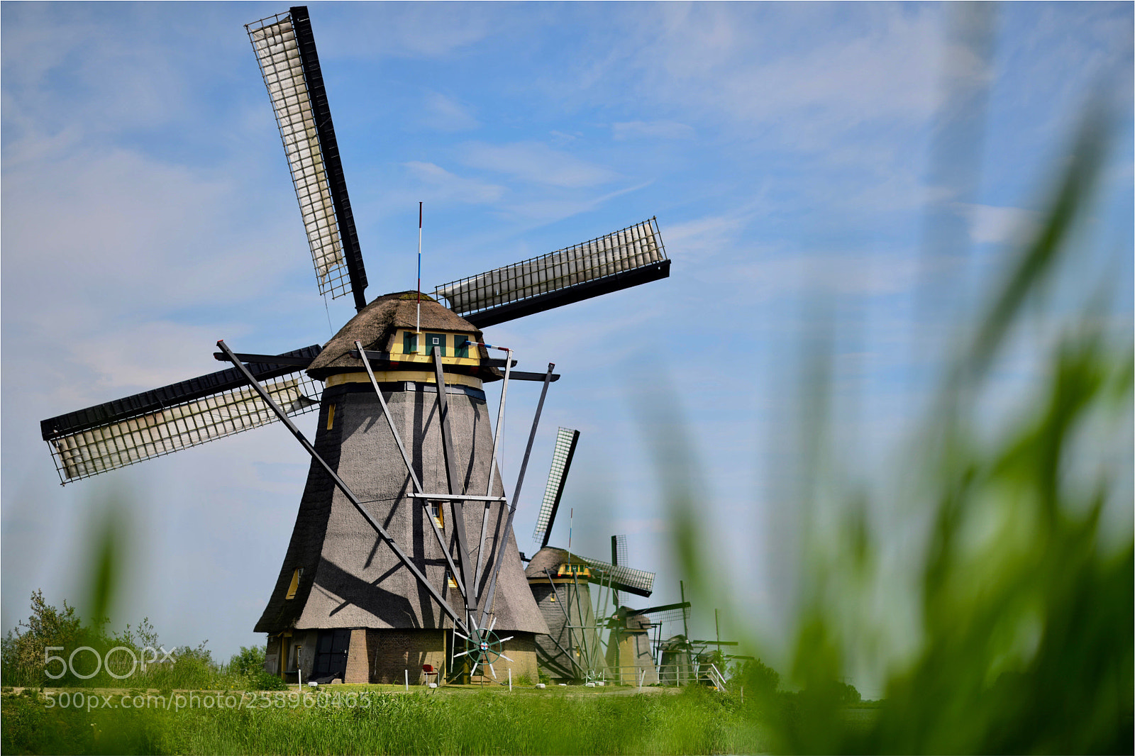 Nikon D850 sample photo. Windmills photography