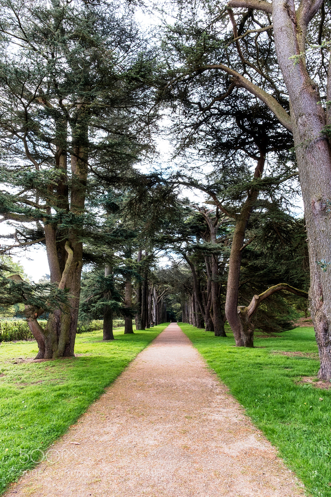 Fujifilm X-T2 sample photo. Clumber park photography