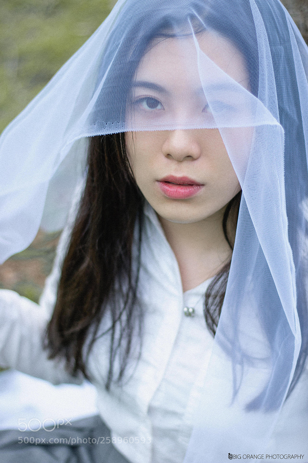 Canon EOS 70D sample photo. Untitled photography