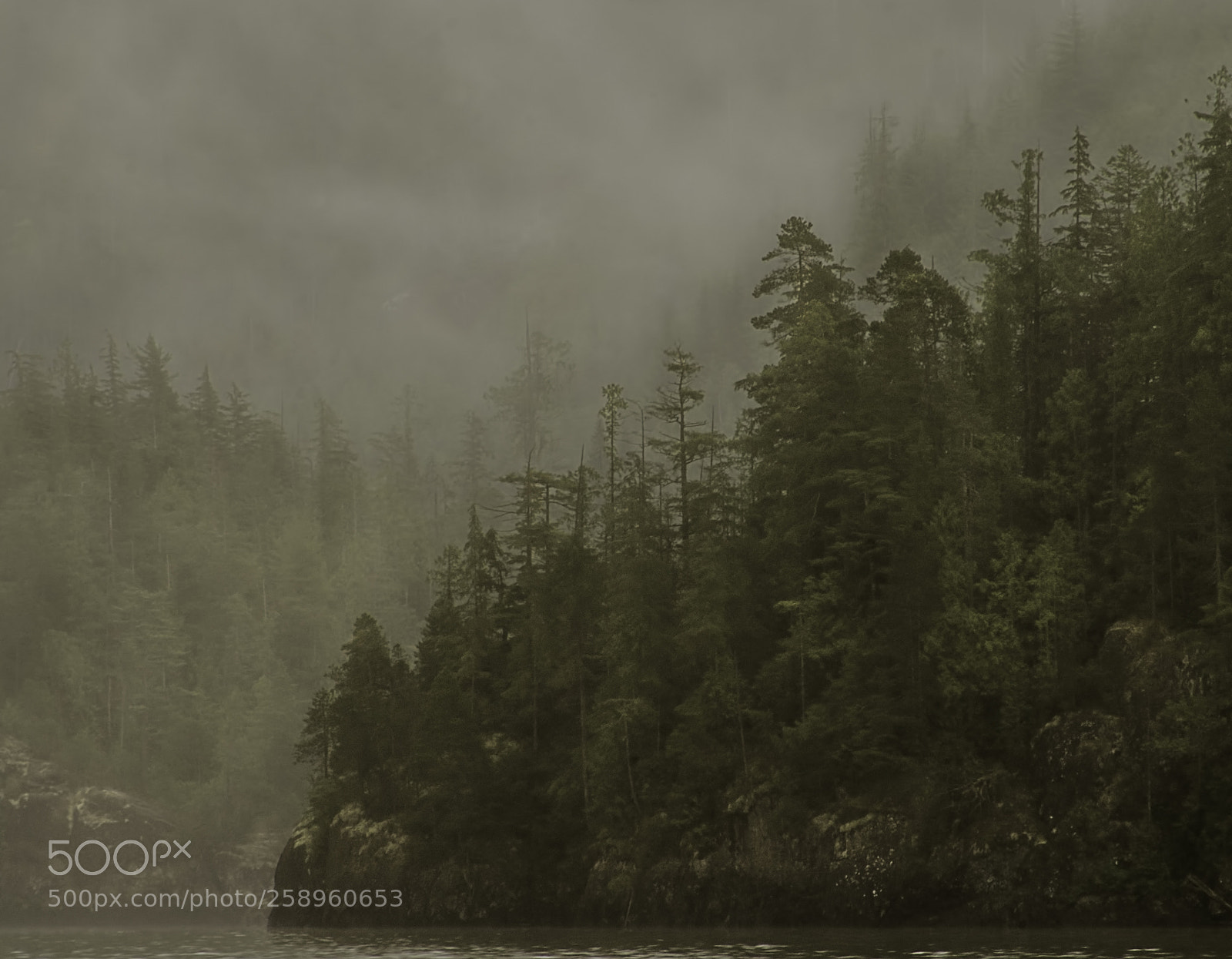 Sony a7R sample photo. Turgid photography