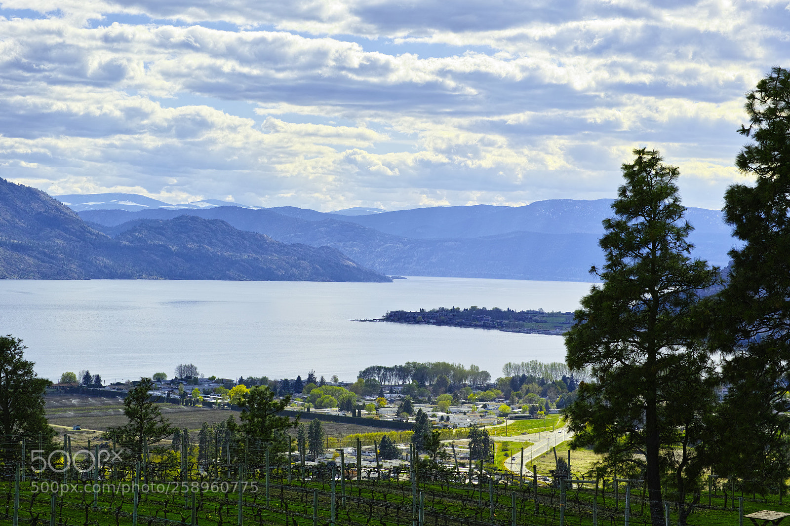 Sigma DP3 Merrill sample photo. Vineyard and lake photography