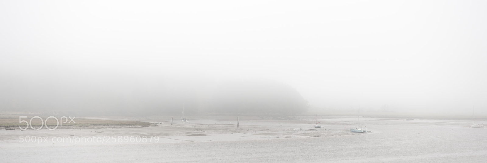 Nikon D810 sample photo. Kippford photography