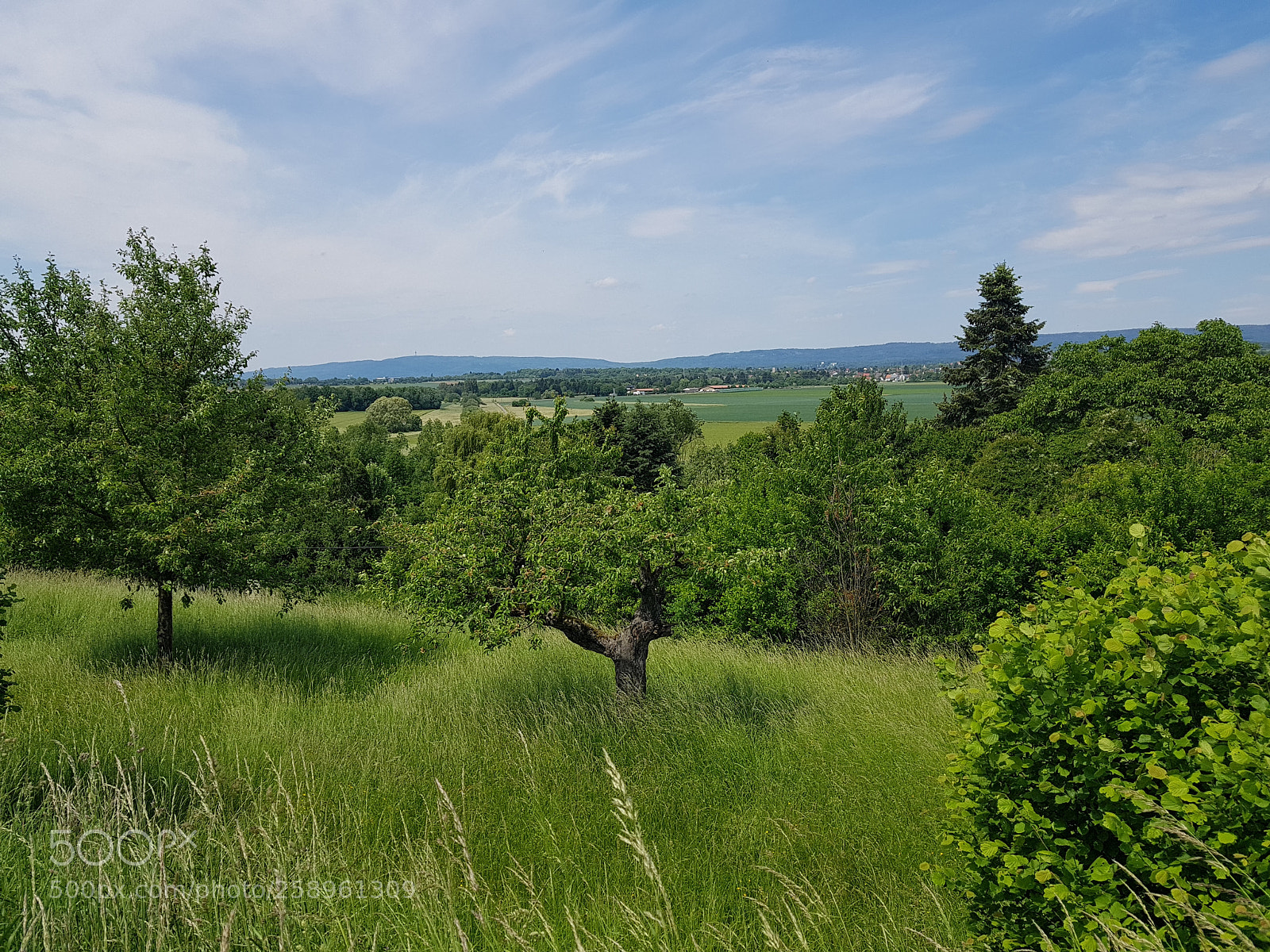 Samsung Galaxy S8+ sample photo. Gr nes wiesbaden photography