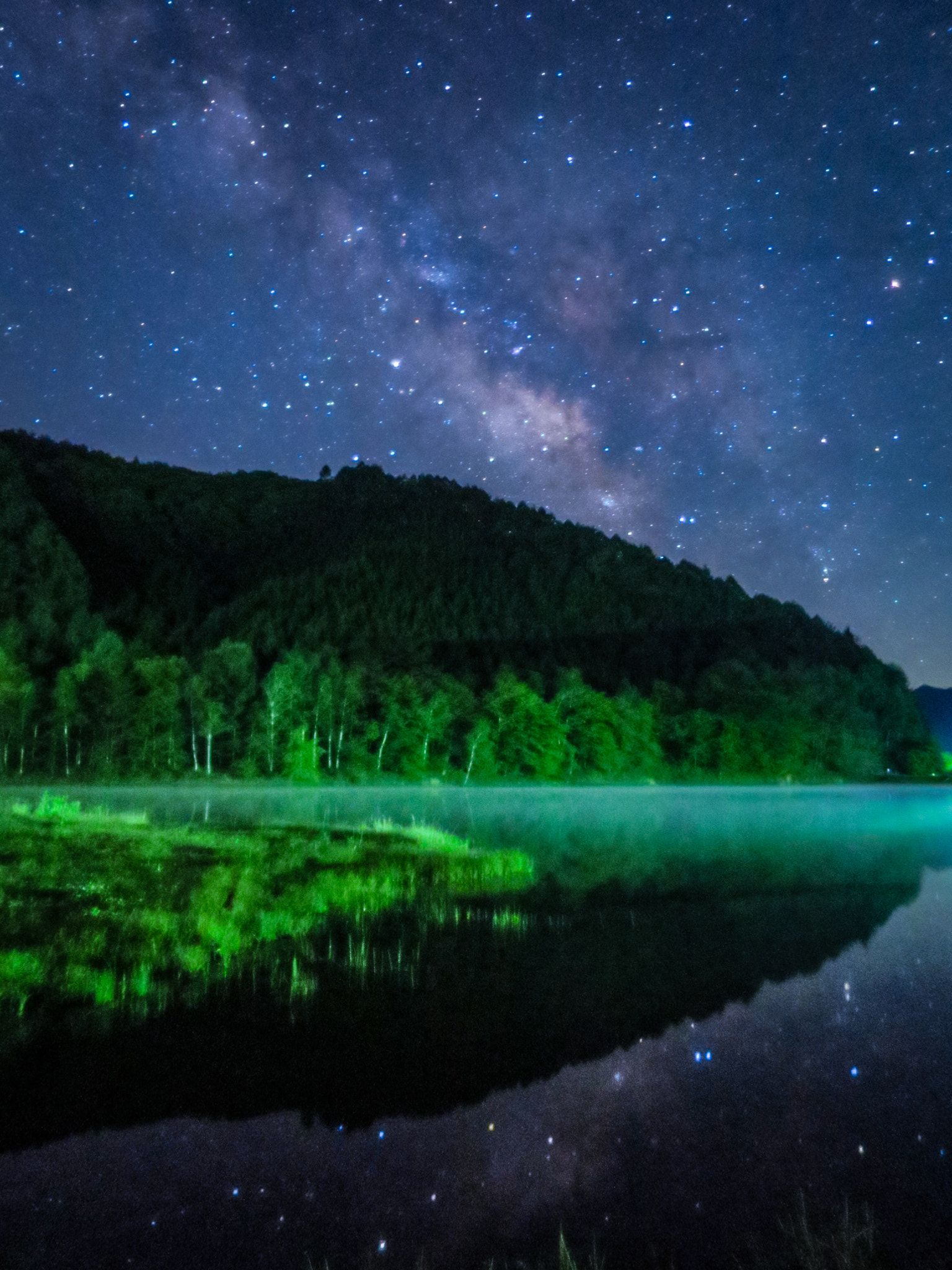 Canon PowerShot S120 sample photo. Reflection of fresh green leaves and milky way" photography